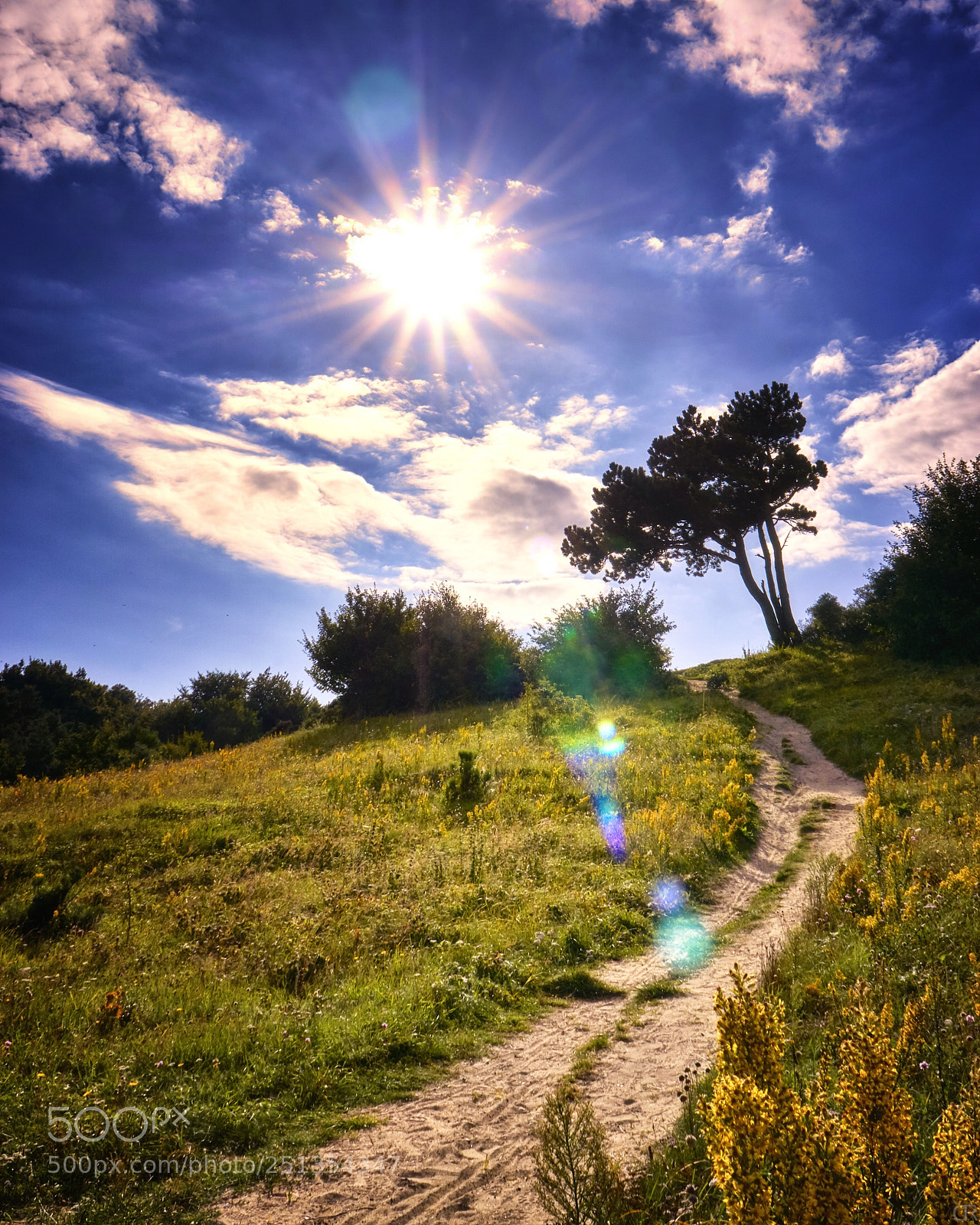 Sony a6000 sample photo. Sonne auf hiddensee photography