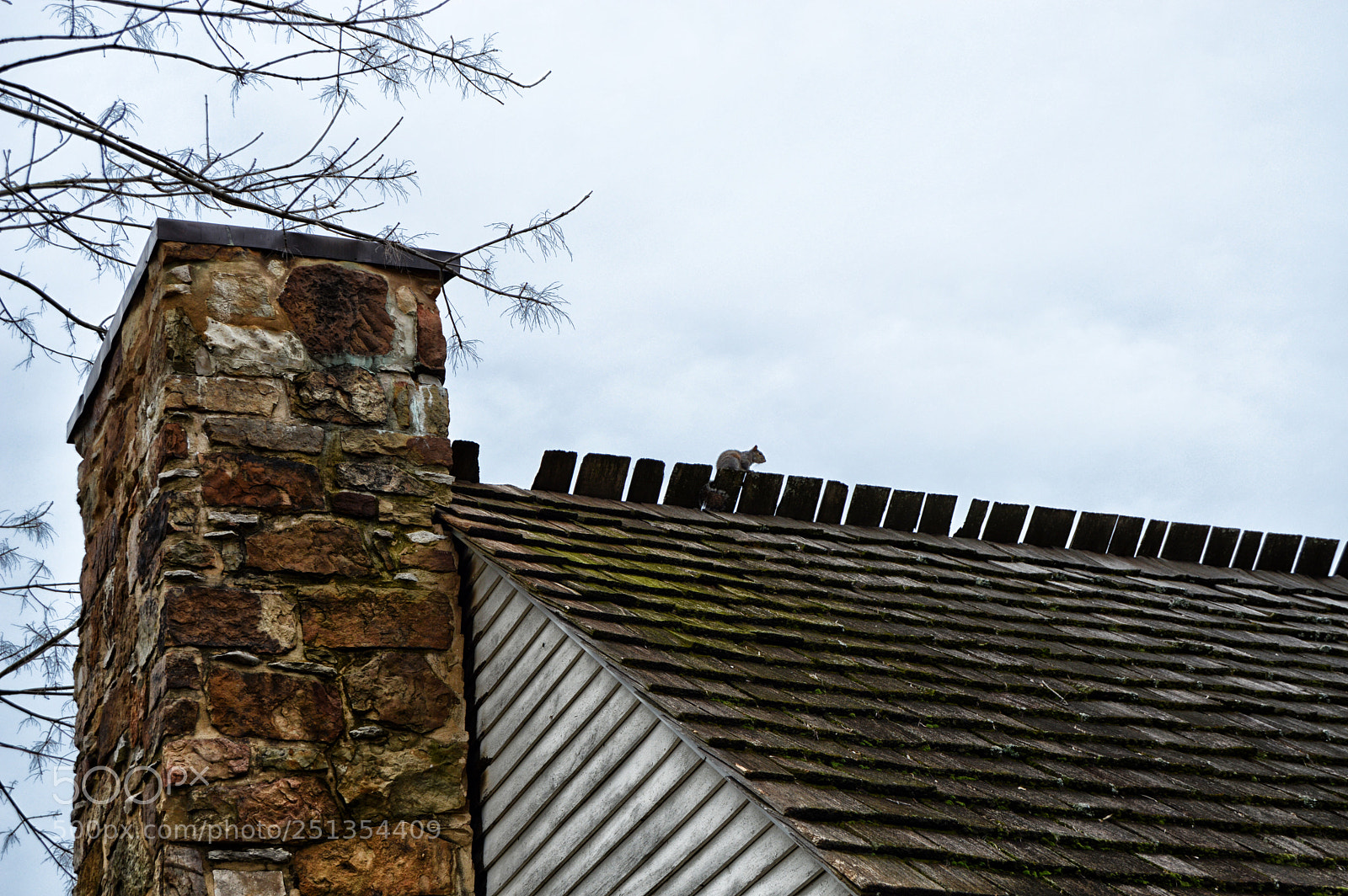 Nikon D3200 sample photo. King house photography