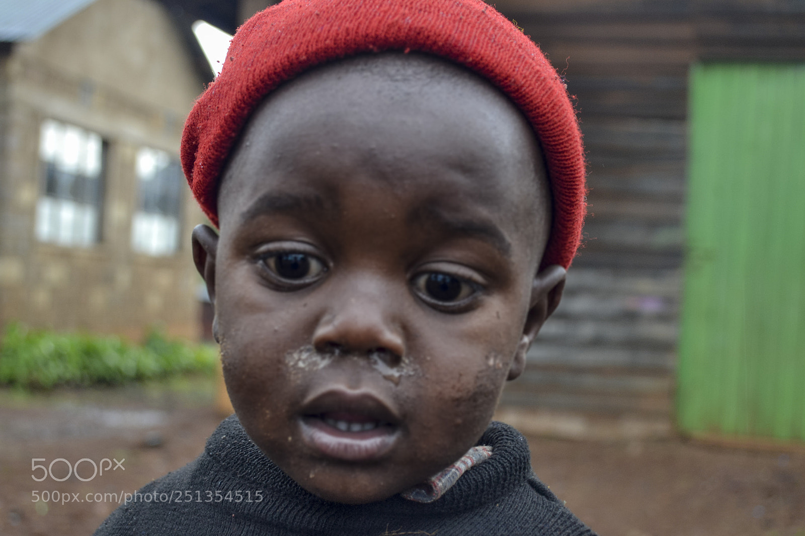 Nikon D3100 sample photo. Untitled photography