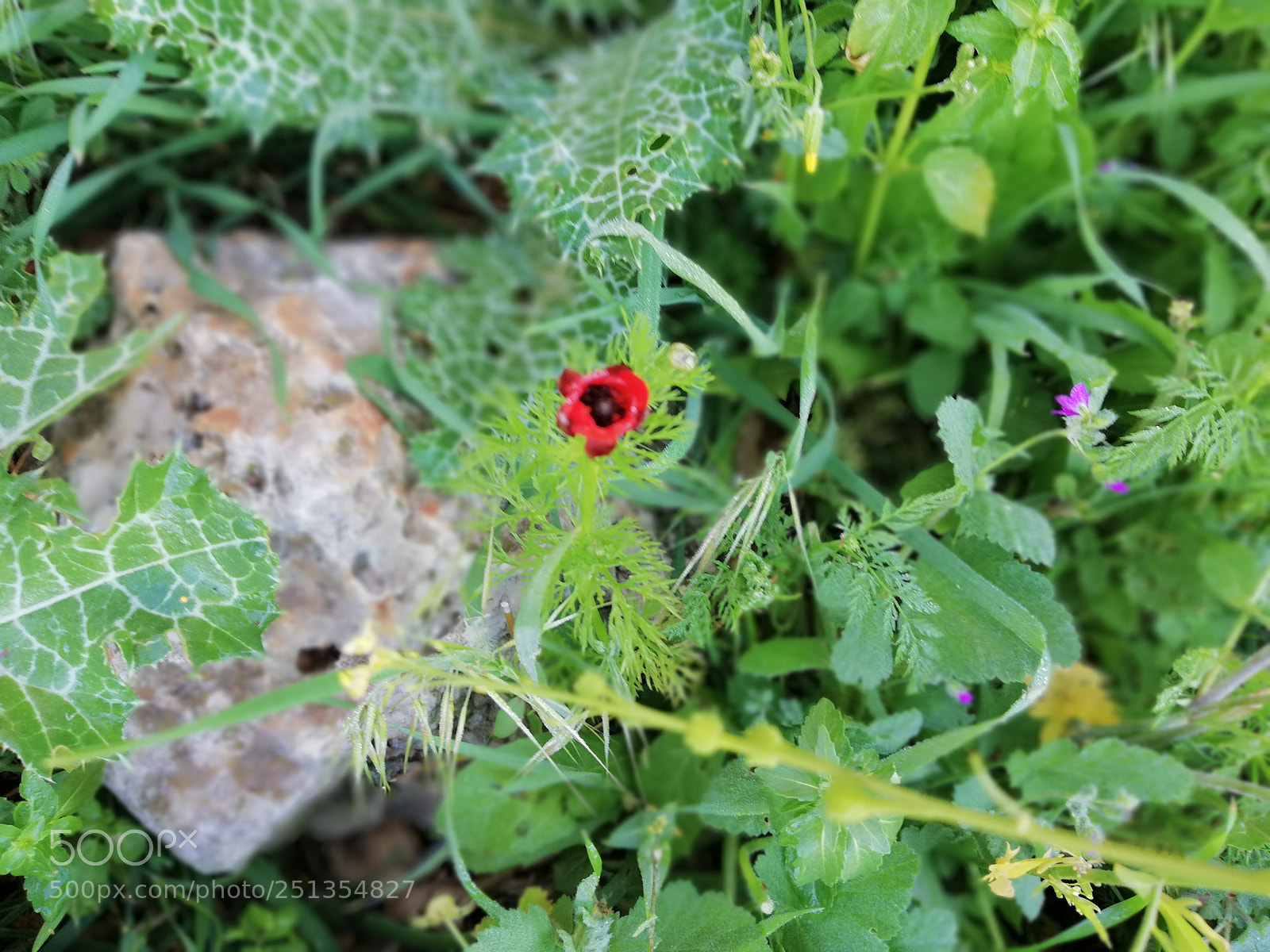 HUAWEI Mate 10 Lite sample photo. Untitled photography