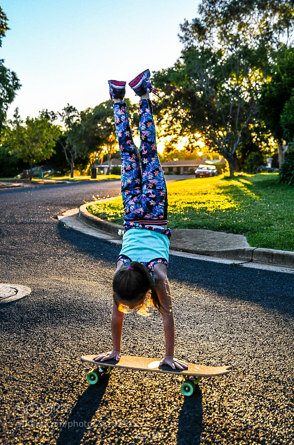 Nikon D850 sample photo. Trickster.... photography