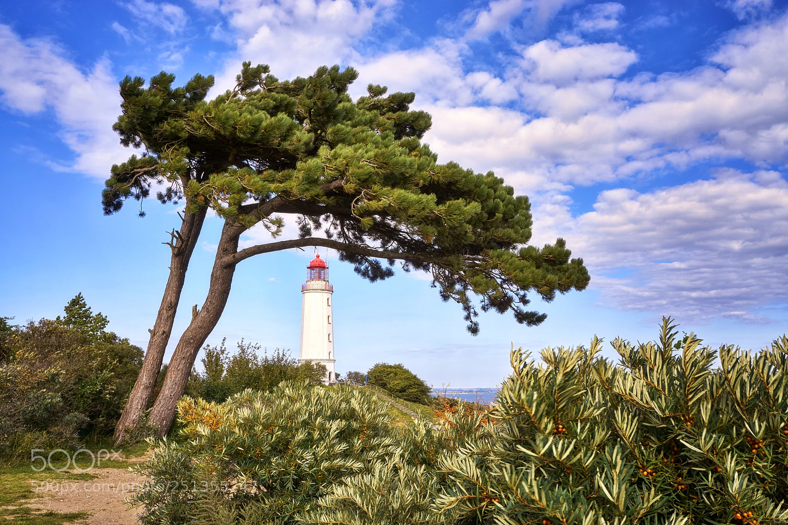 Sony a6000 sample photo. Baum am leuchtturm photography