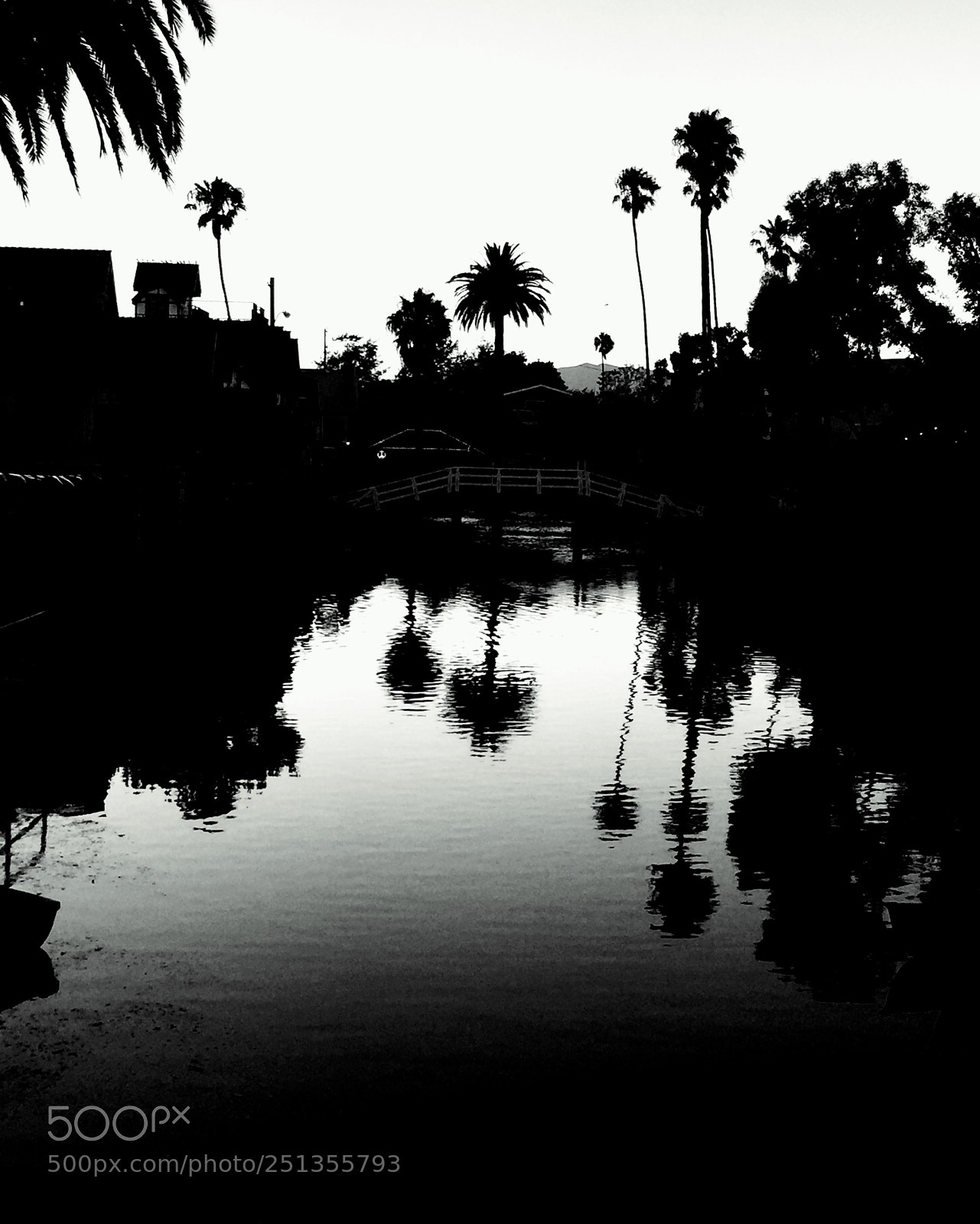 Apple iPhone 6 sample photo. Venice beach  photography