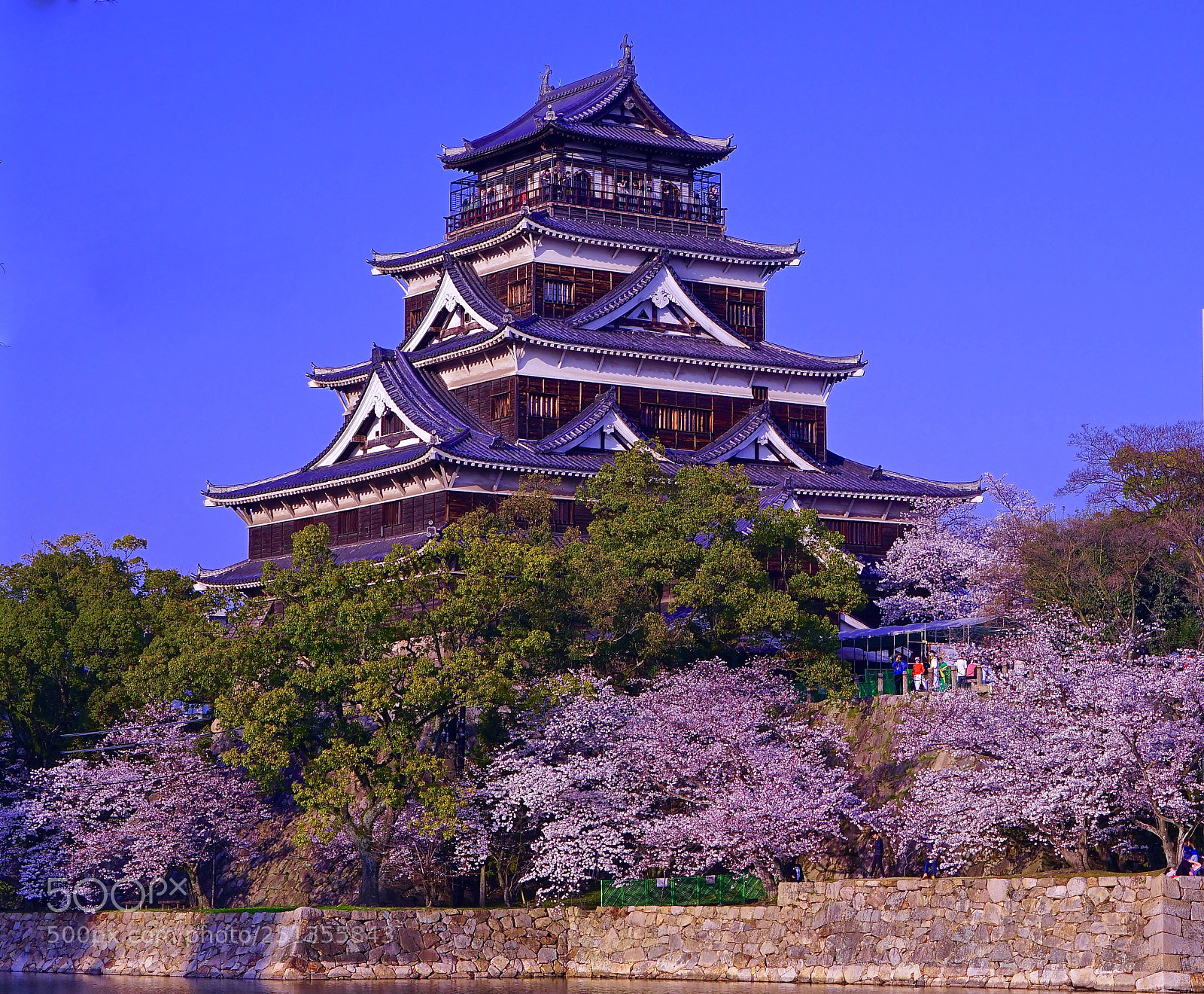 Sony a7R sample photo. Hiroshima castle sakura photography