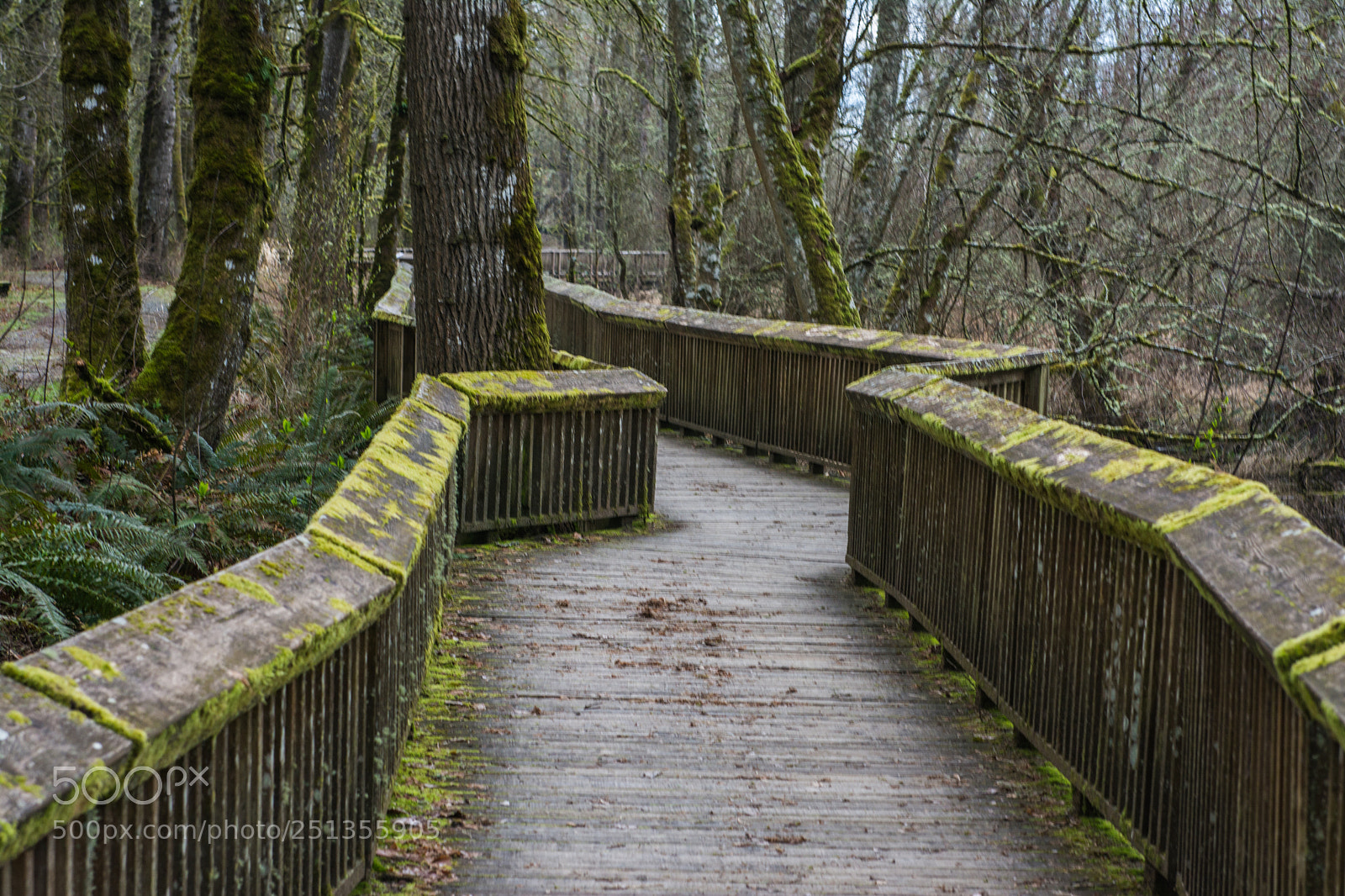Nikon D7100 sample photo. Wasington photography