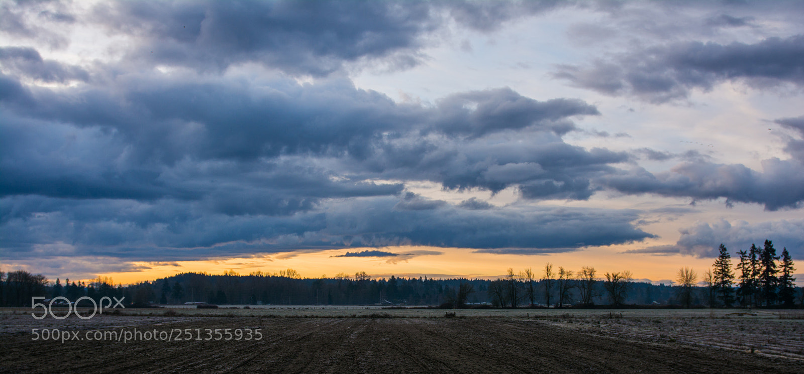 Nikon D7100 sample photo. Wasington photography