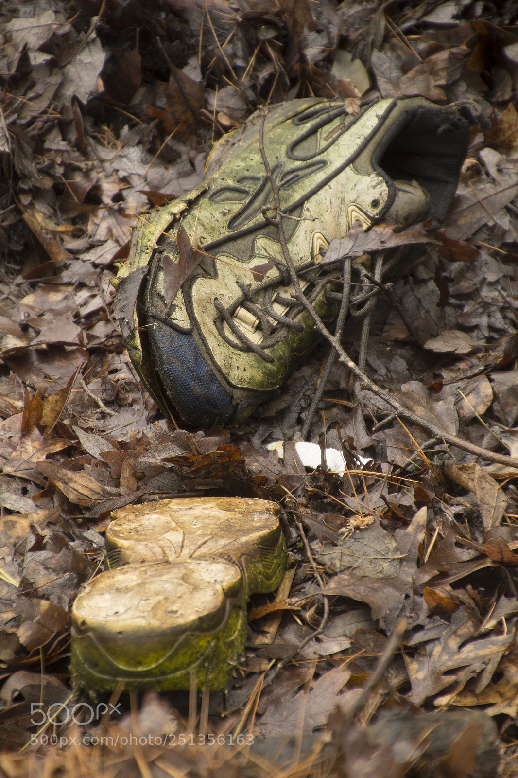 Canon EOS 1200D (EOS Rebel T5 / EOS Kiss X70 / EOS Hi) sample photo. Rotting shoes. photography