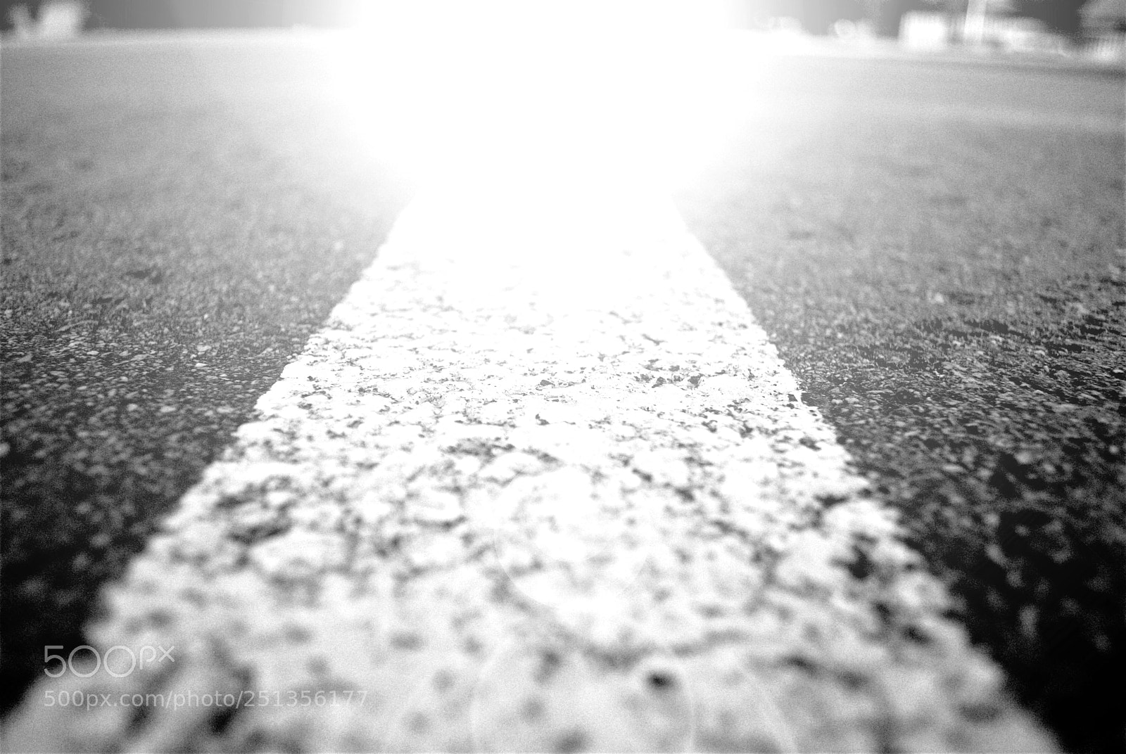 Nikon D3000 sample photo. Aabece ecbfffd photography
