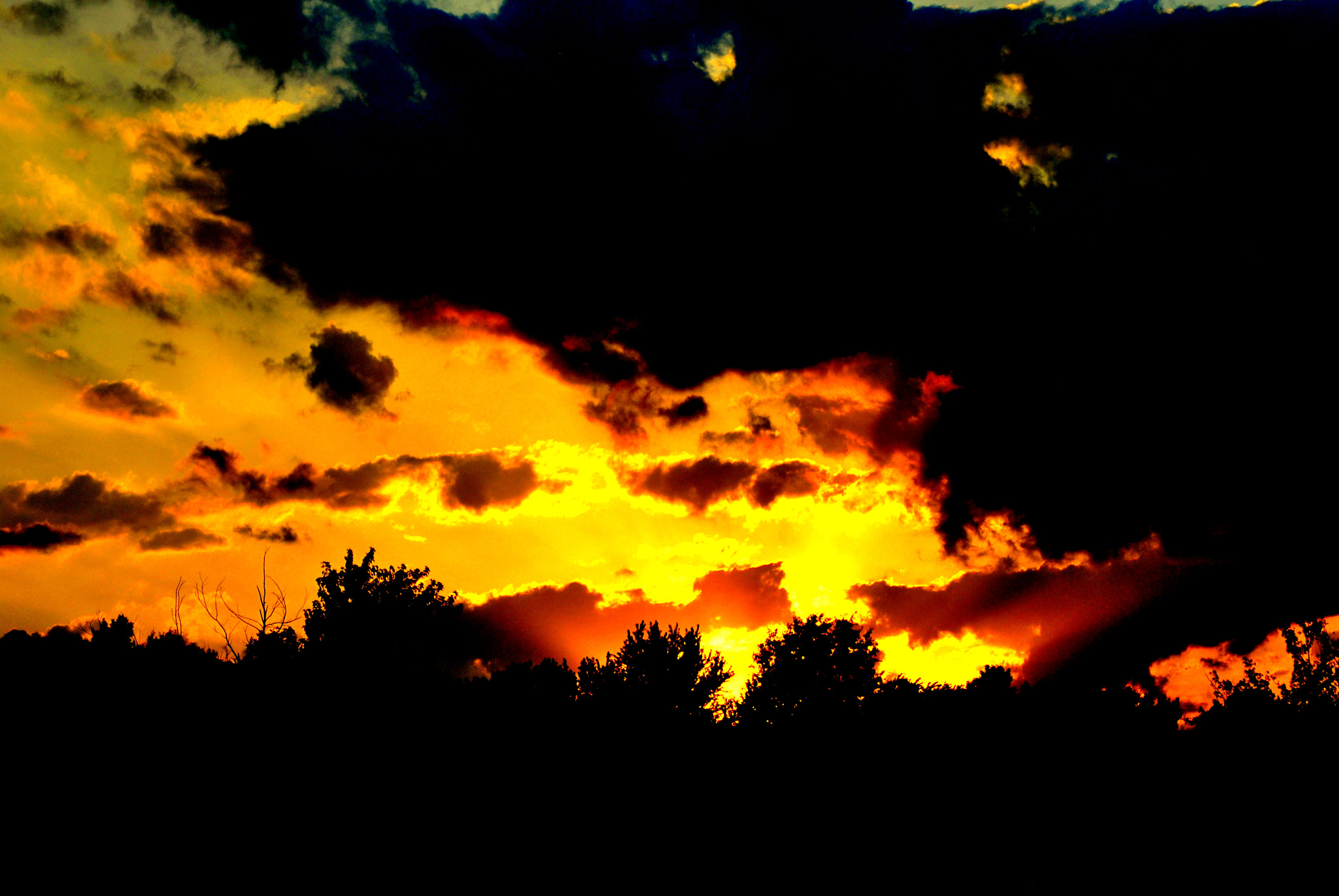 Nikon D3000 sample photo. Fdcaac edabecb photography