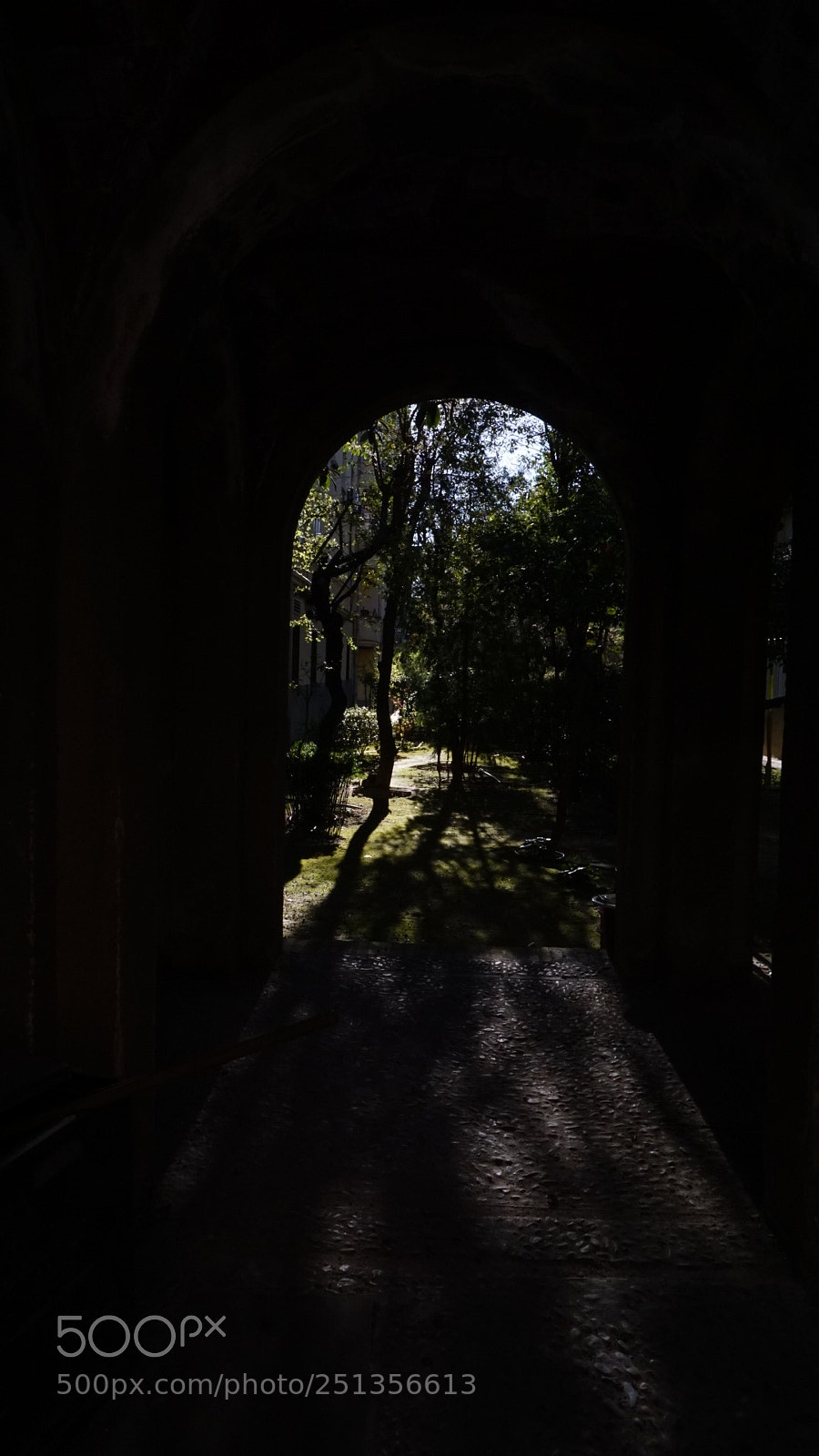 Sony a6000 sample photo. Untitled photography