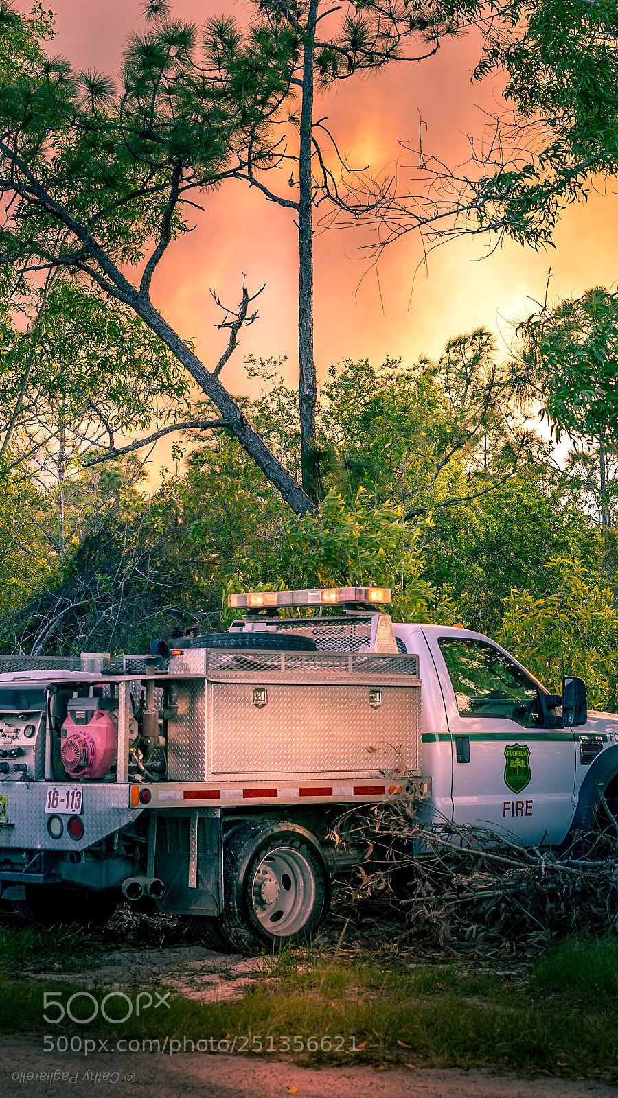Sony a6000 sample photo. Brush fire photography