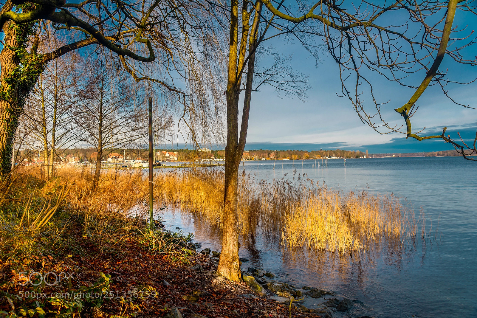 Nikon D5200 sample photo. A little ray of photography