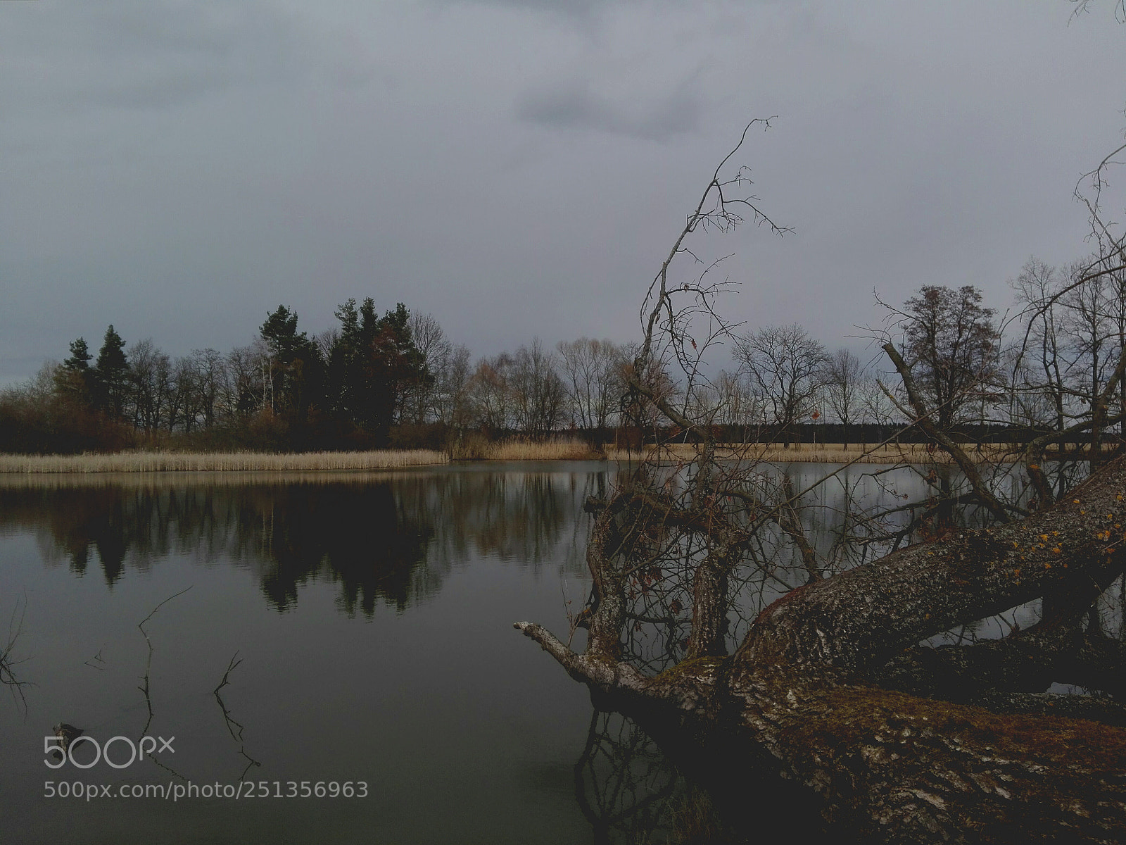 HUAWEI P8 Lite sample photo. Untitled photography