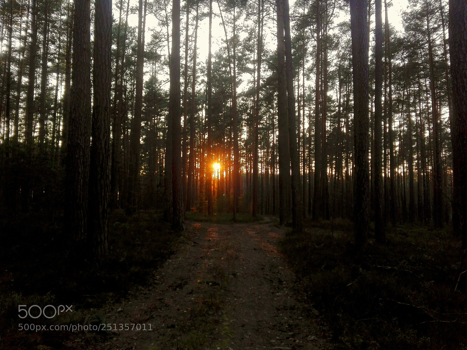 HUAWEI P8 Lite sample photo. Untitled photography