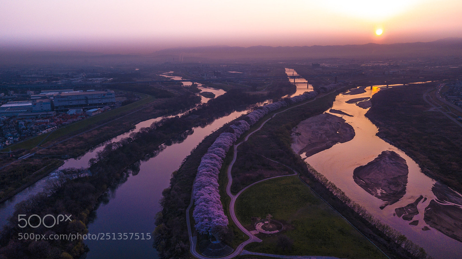 DJI FC220 sample photo. The cherry blossoms have photography