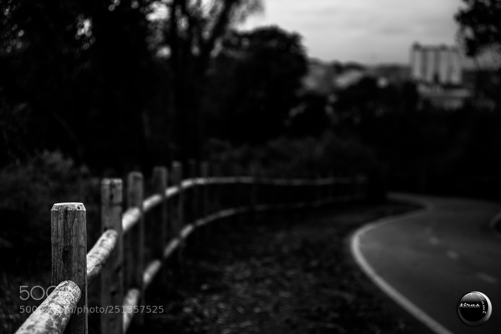 Nikon D610 sample photo. L photography