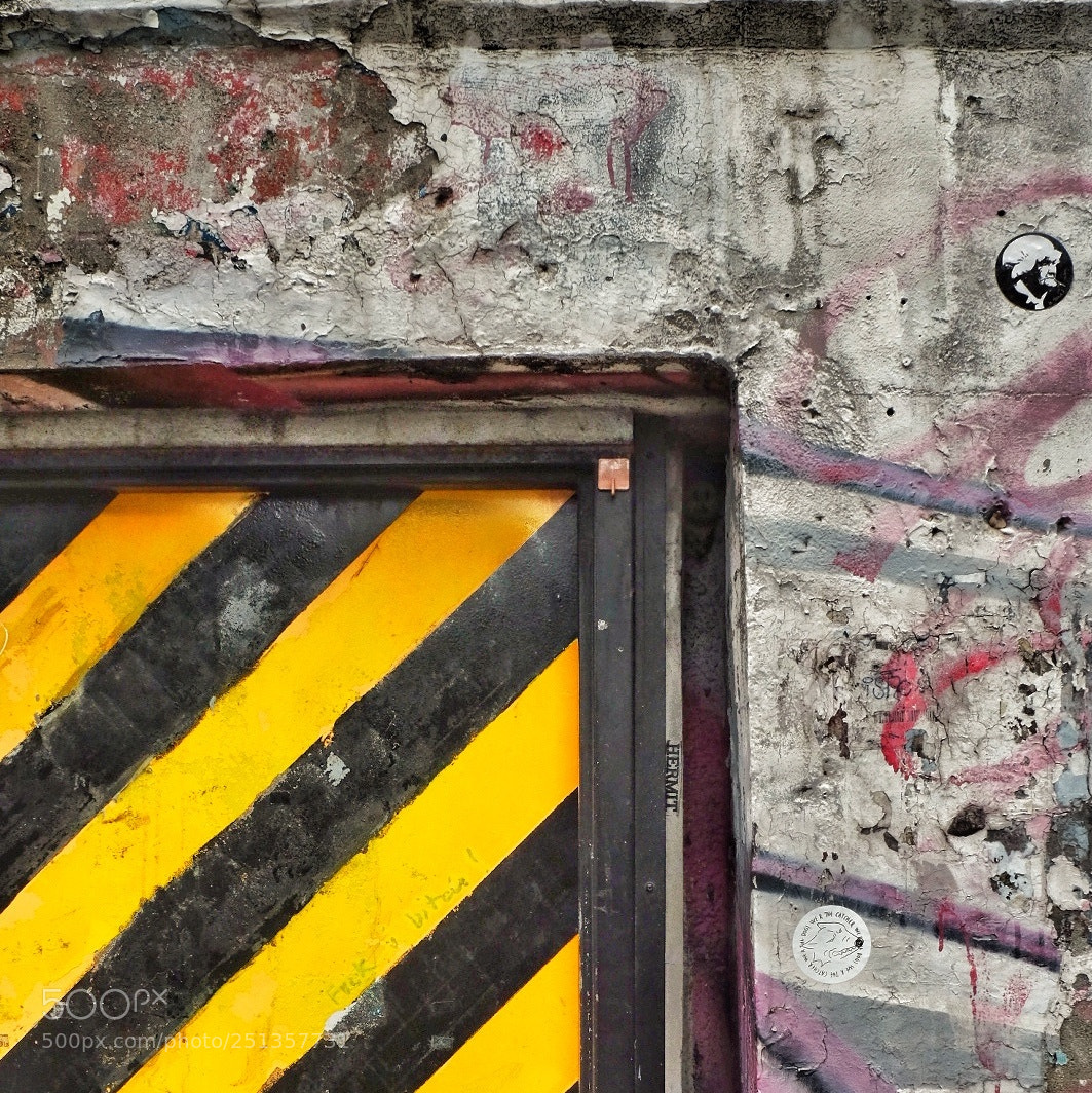 Fujifilm X-T10 sample photo. Hermit photography