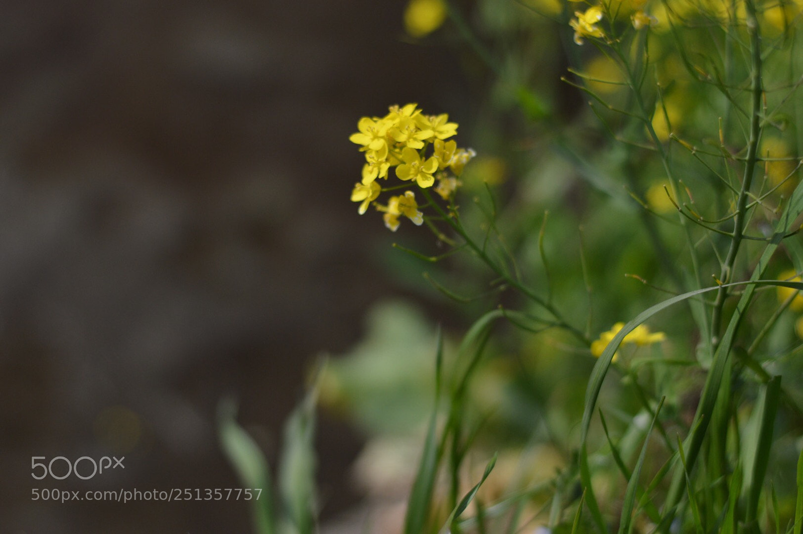 Nikon D3200 sample photo. Untitled photography