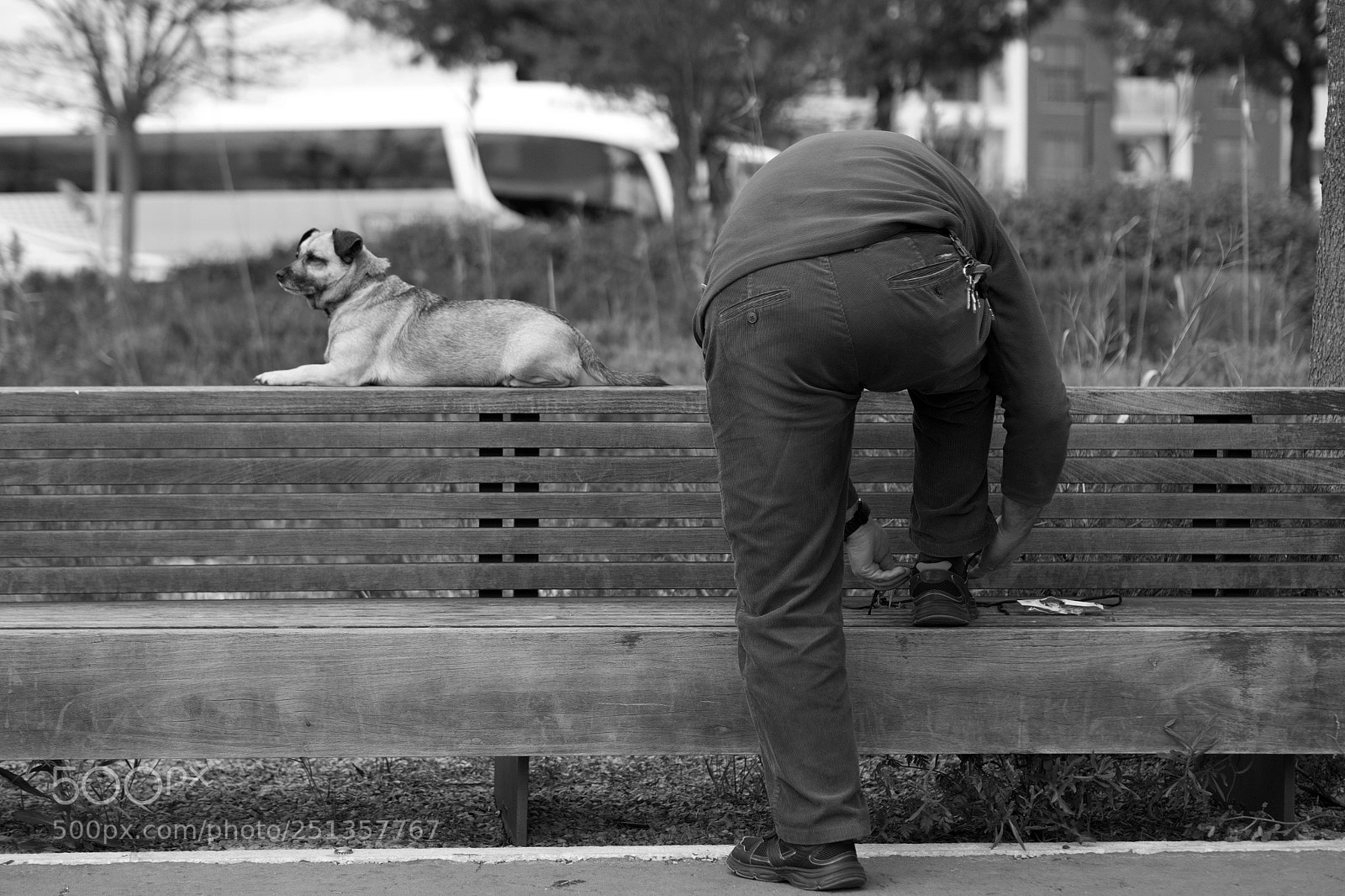 Olympus OM-D E-M1 sample photo. Man´s best friend photography