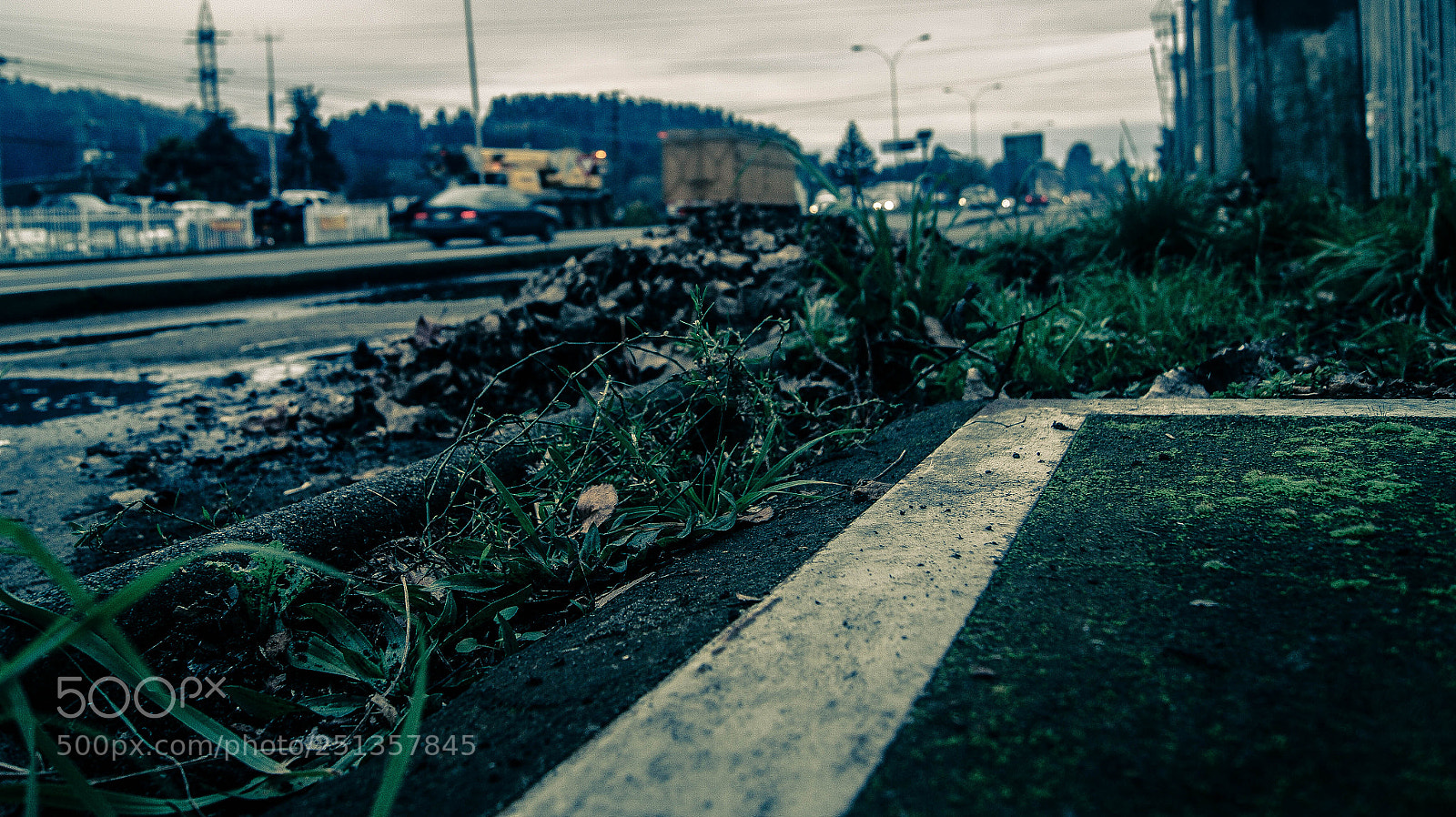 Sony Alpha DSLR-A290 sample photo. Street photography