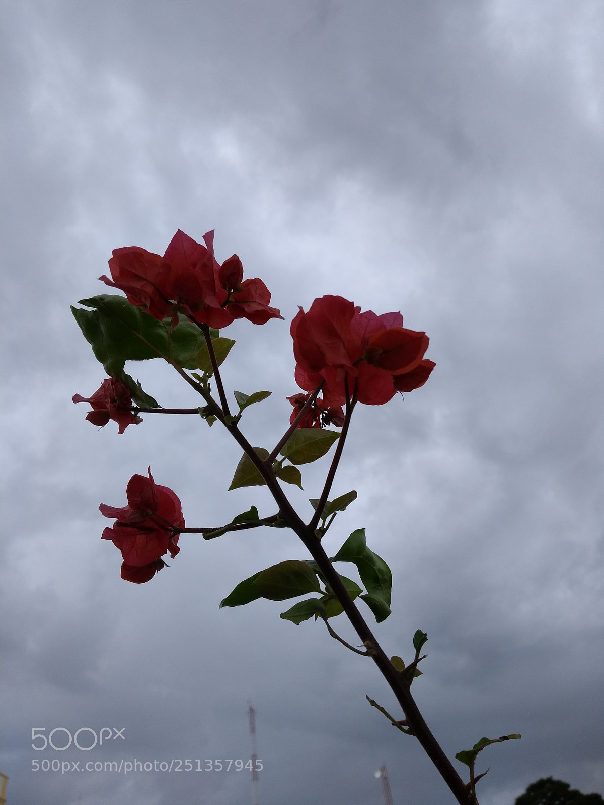 Motorola Moto G (5th Gen) sample photo. Nublado photography