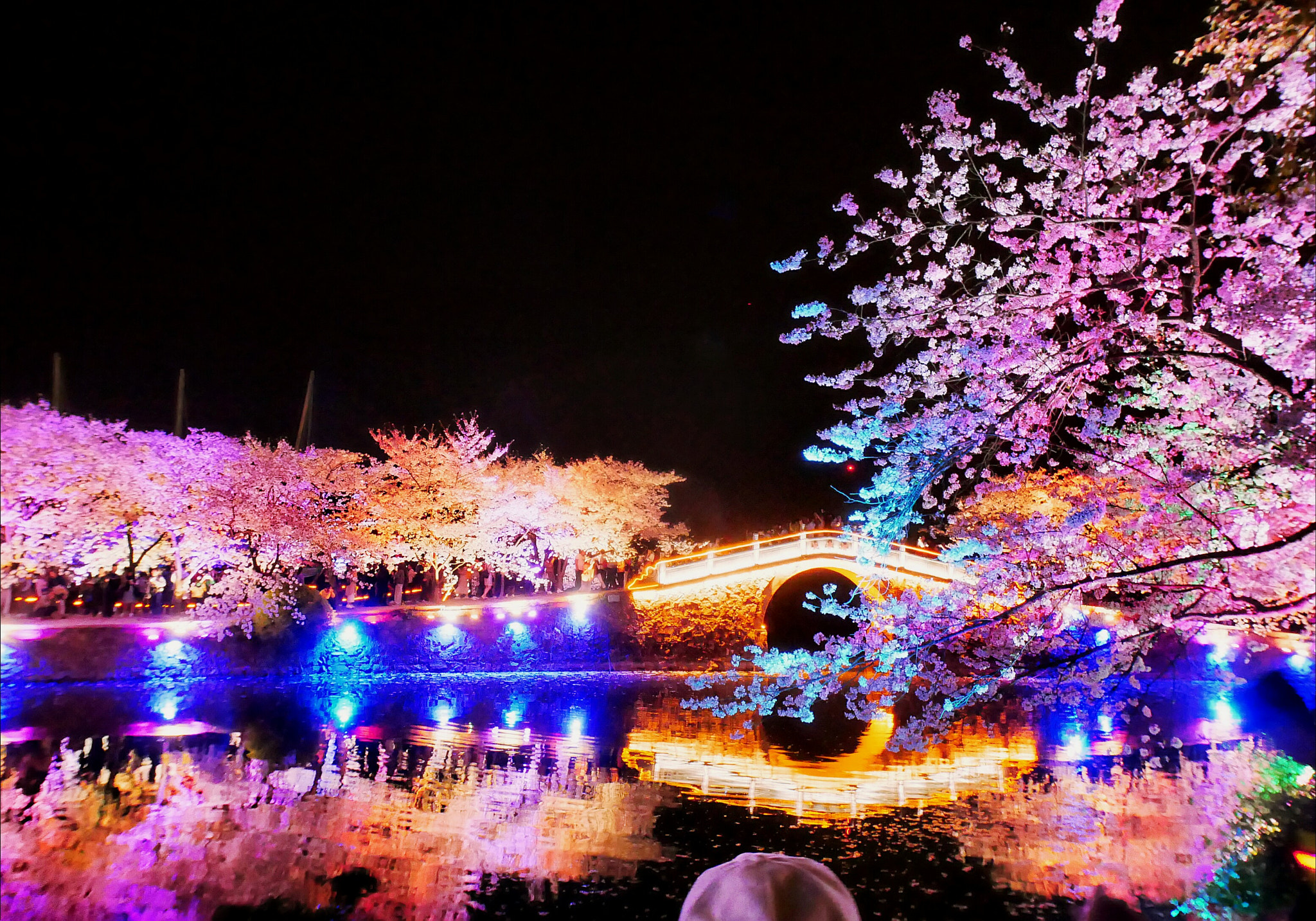 Panasonic Lumix DC-GX850 (Lumix DC-GX800 / Lumix DC-GF9) sample photo. Changchun bridge in night photography