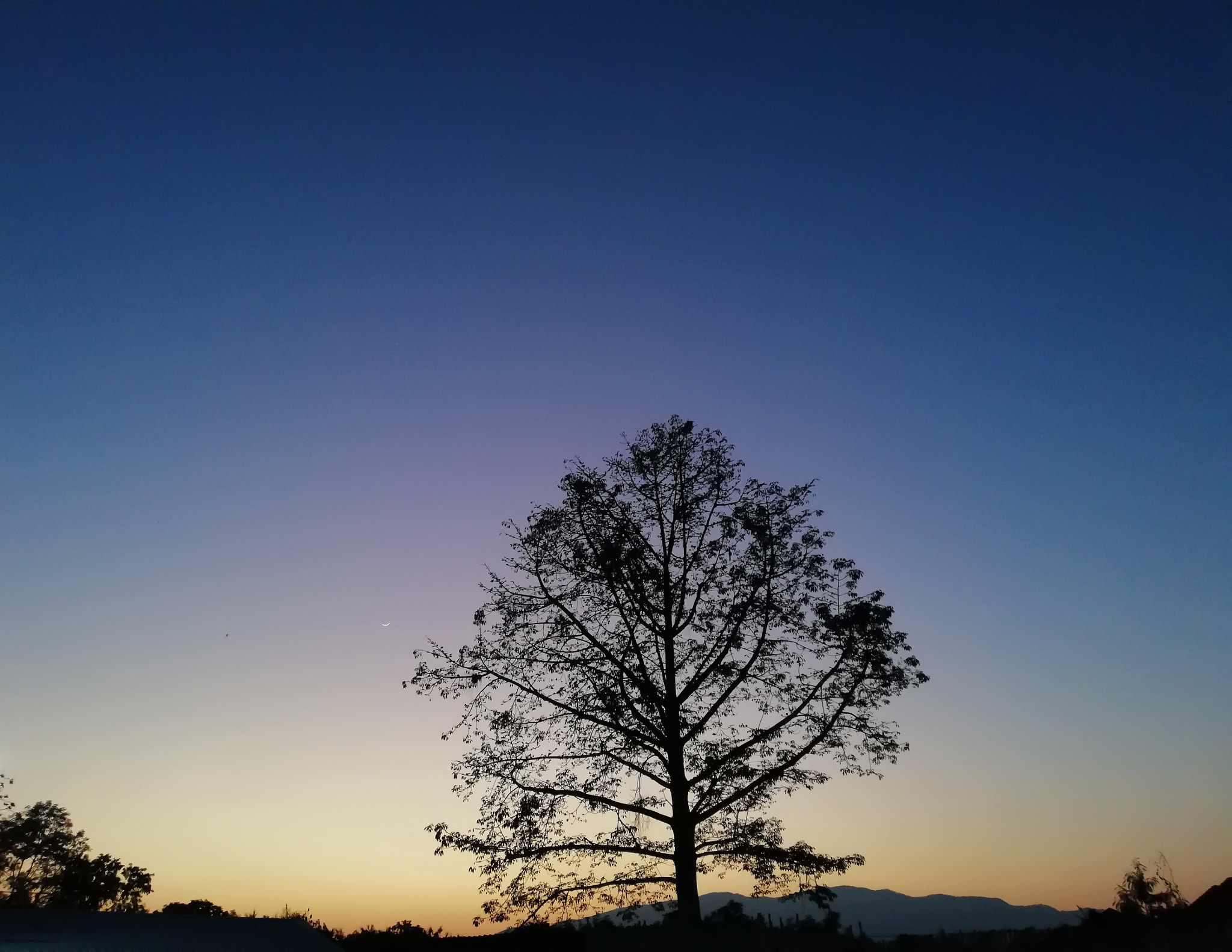 HUAWEI nova 2i sample photo. Dav photography