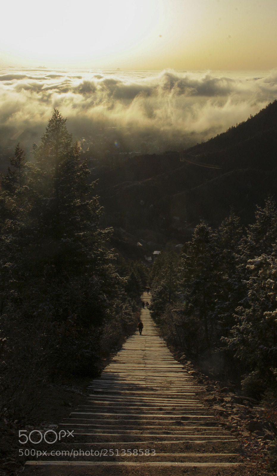 Canon EOS 60D sample photo. The humble path photography