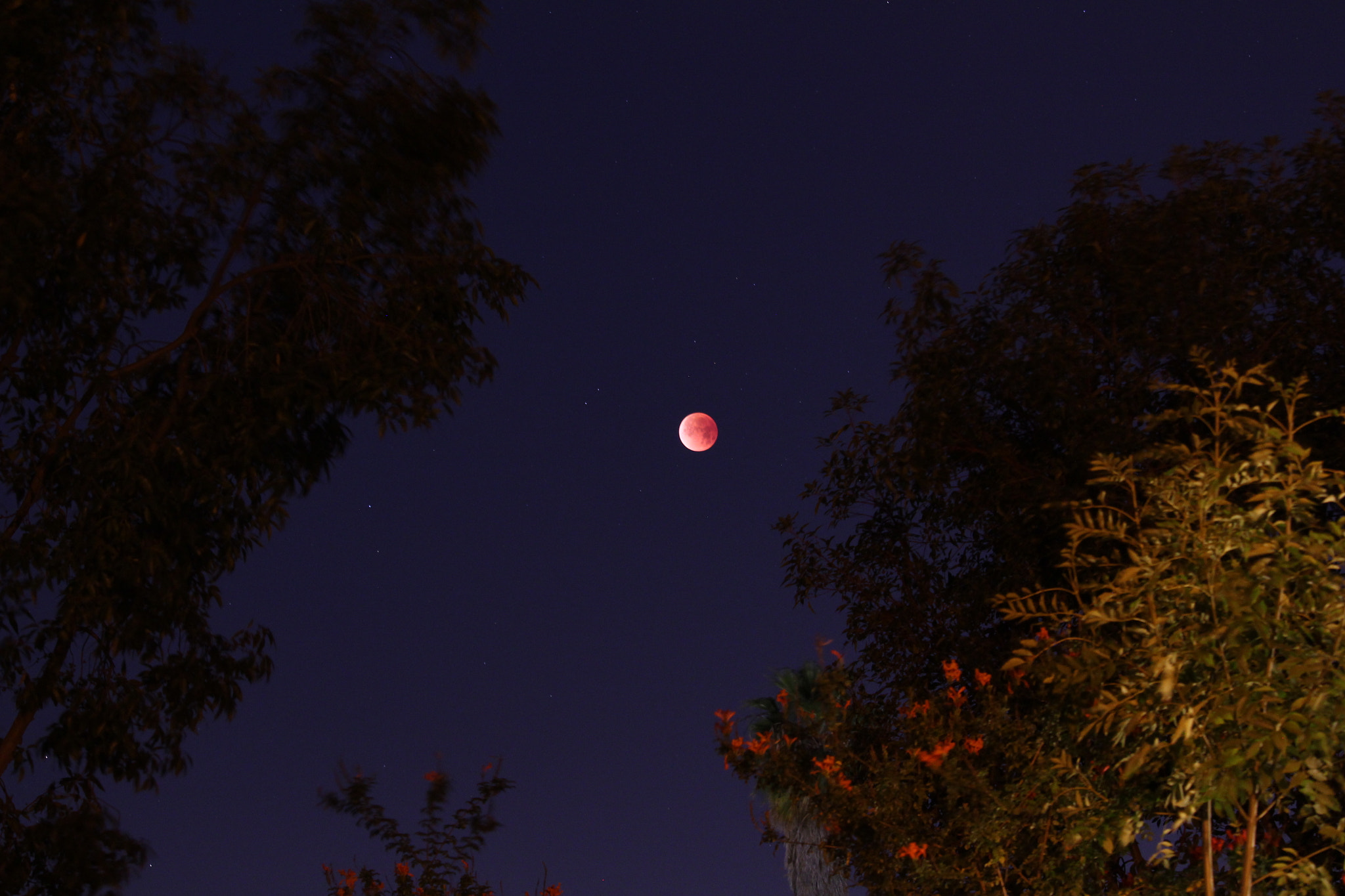 Canon EF-S 55-250mm F4-5.6 IS STM sample photo. Super blue blood moon photography