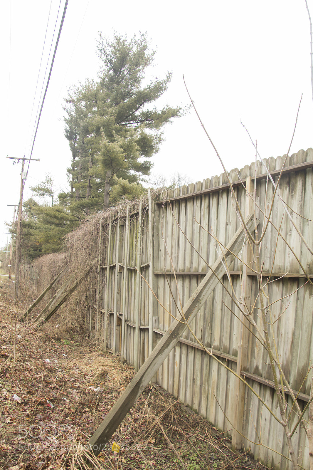 Canon EOS 1200D (EOS Rebel T5 / EOS Kiss X70 / EOS Hi) sample photo. Fenced off landscape. photography