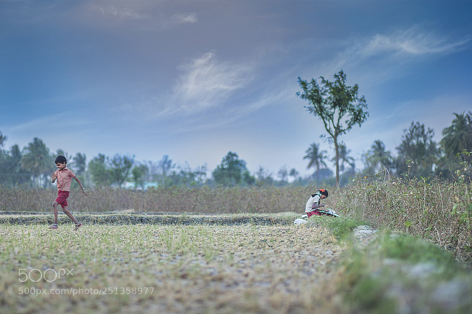 Canon EOS 5D Mark IV sample photo. Untitled photography
