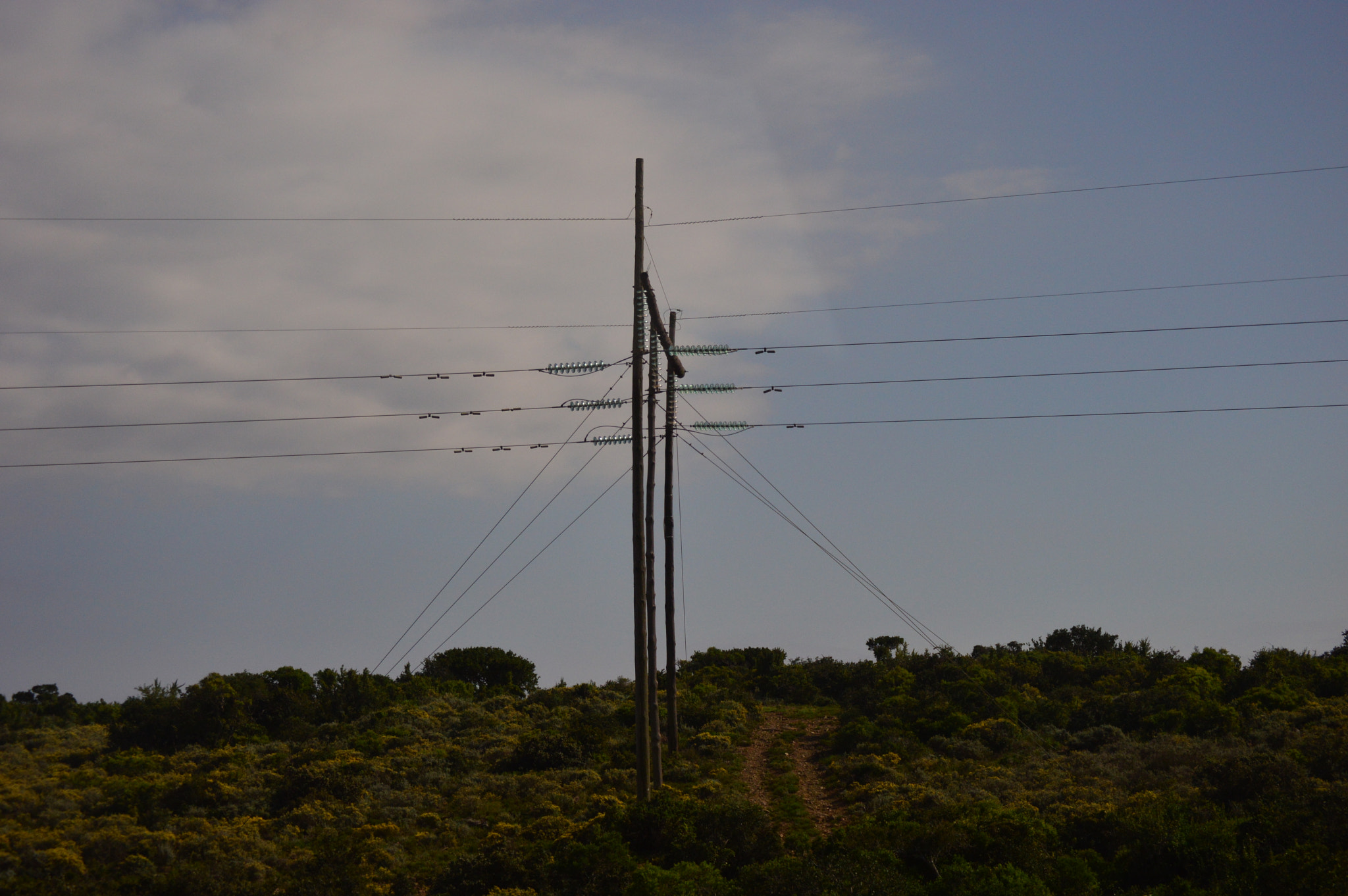 Nikon D3200 sample photo. Giving power to the people photography