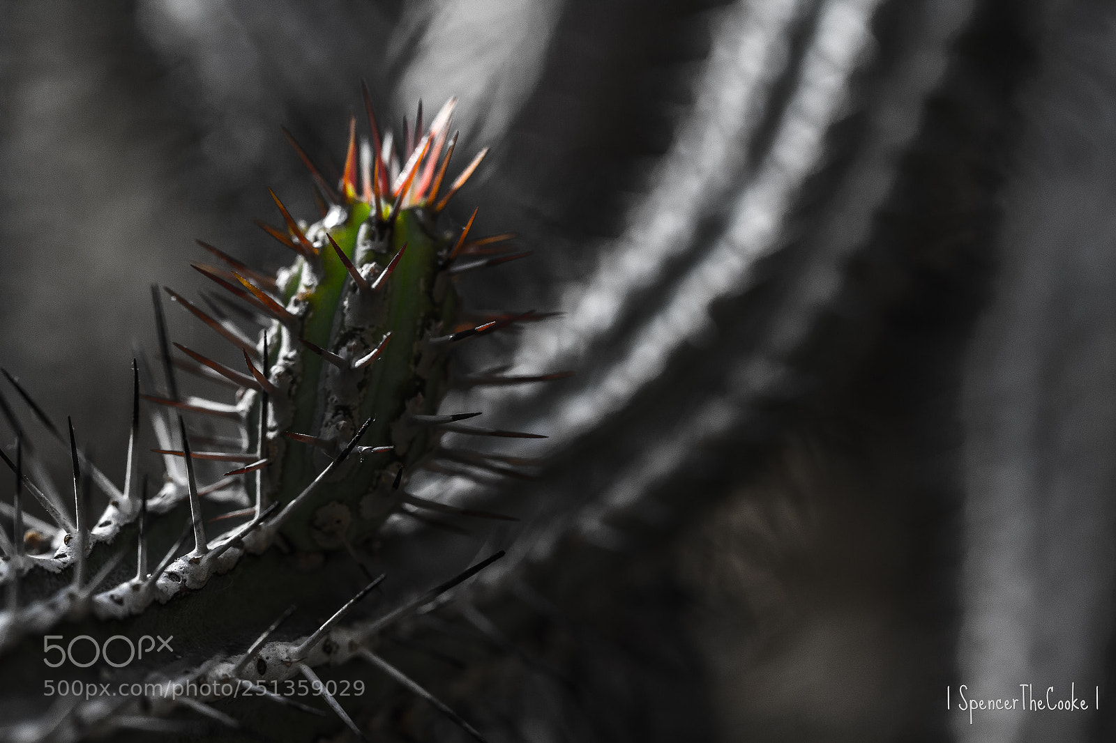 Canon EOS 7D sample photo. Color up top photography