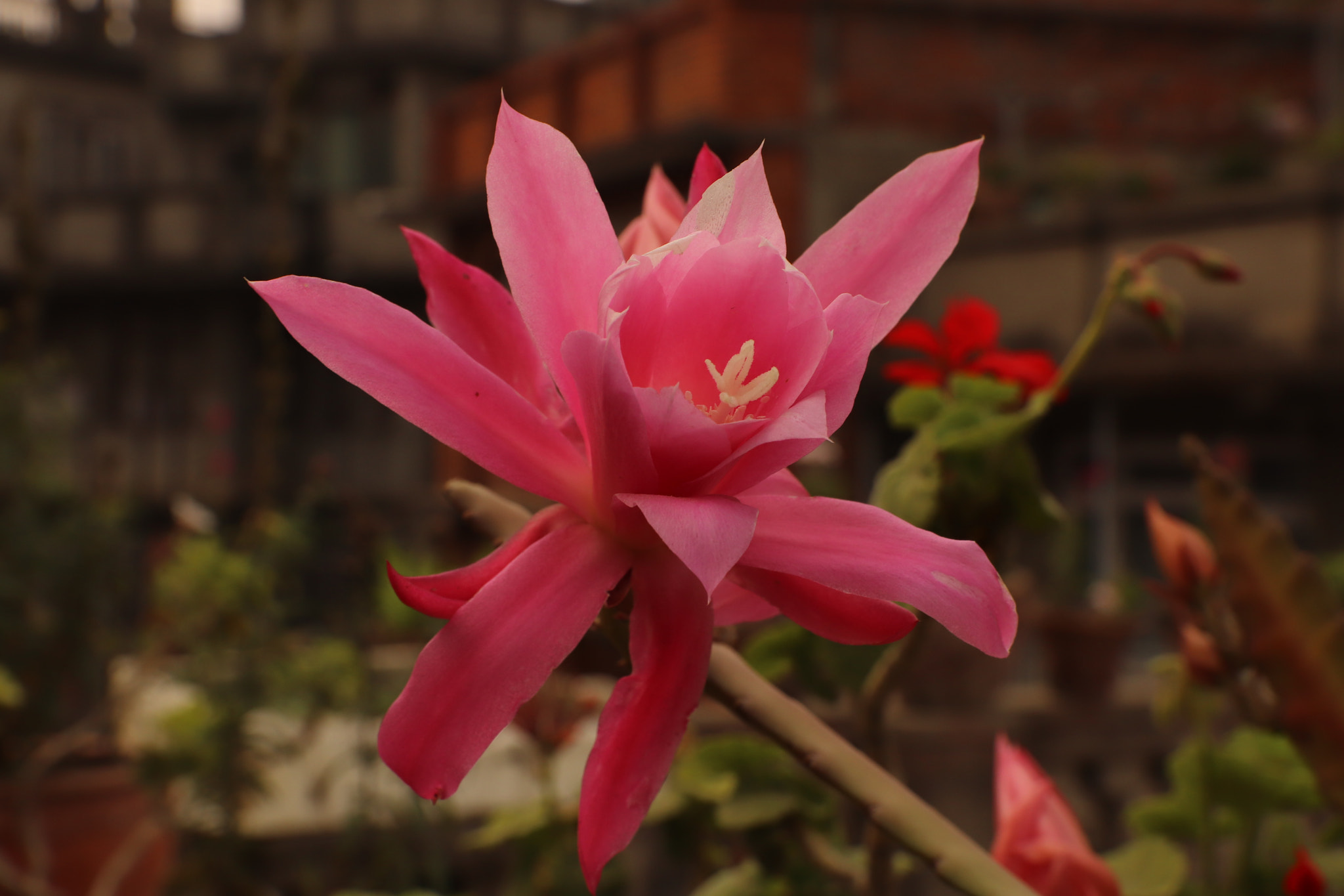 Canon EF-S 17-55mm F2.8 IS USM sample photo
