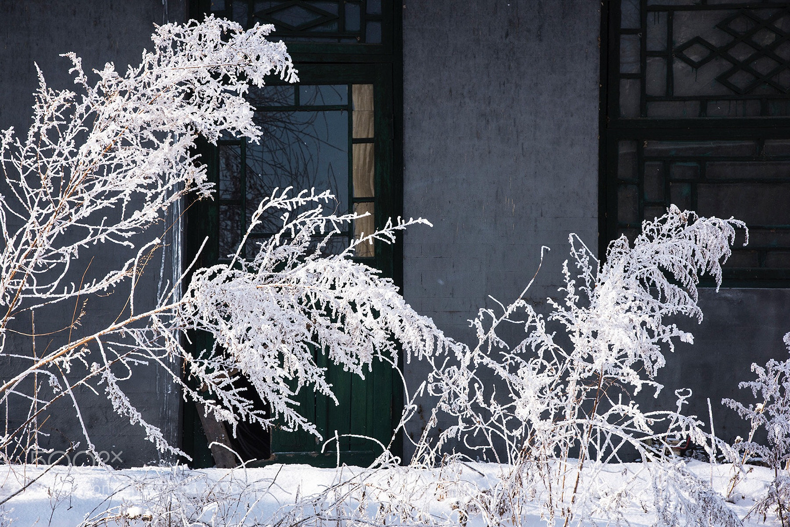 Nikon D810 sample photo. Travel in the winter. photography