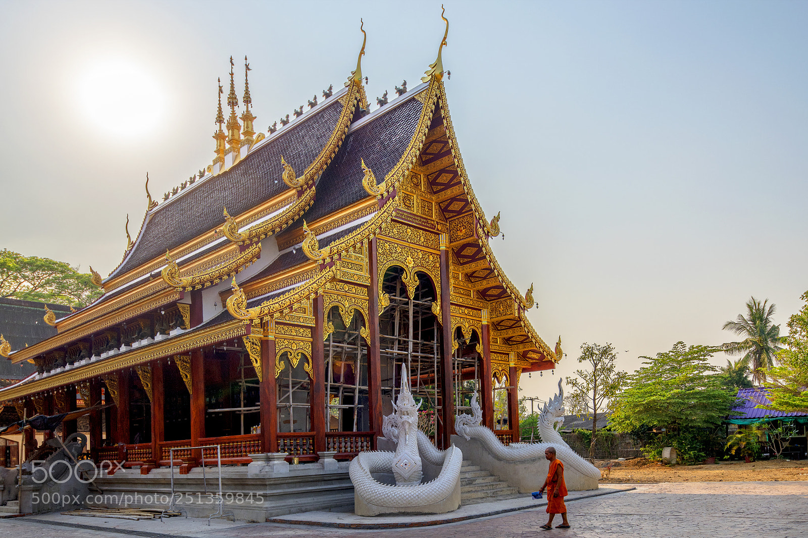 Nikon D850 sample photo. Plein soleil photography