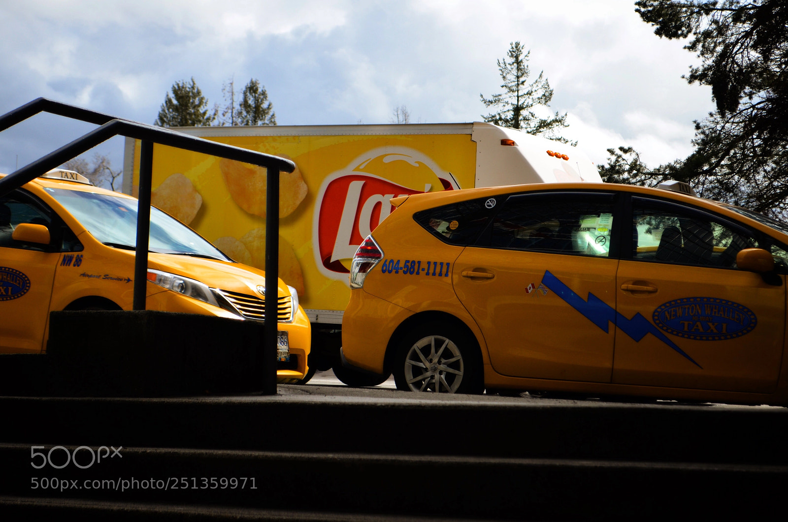 Nikon D5100 sample photo. This just attracted me photography