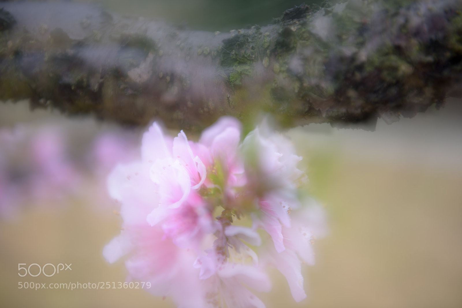 Nikon D810 sample photo. _dsc1002-1.jpg photography