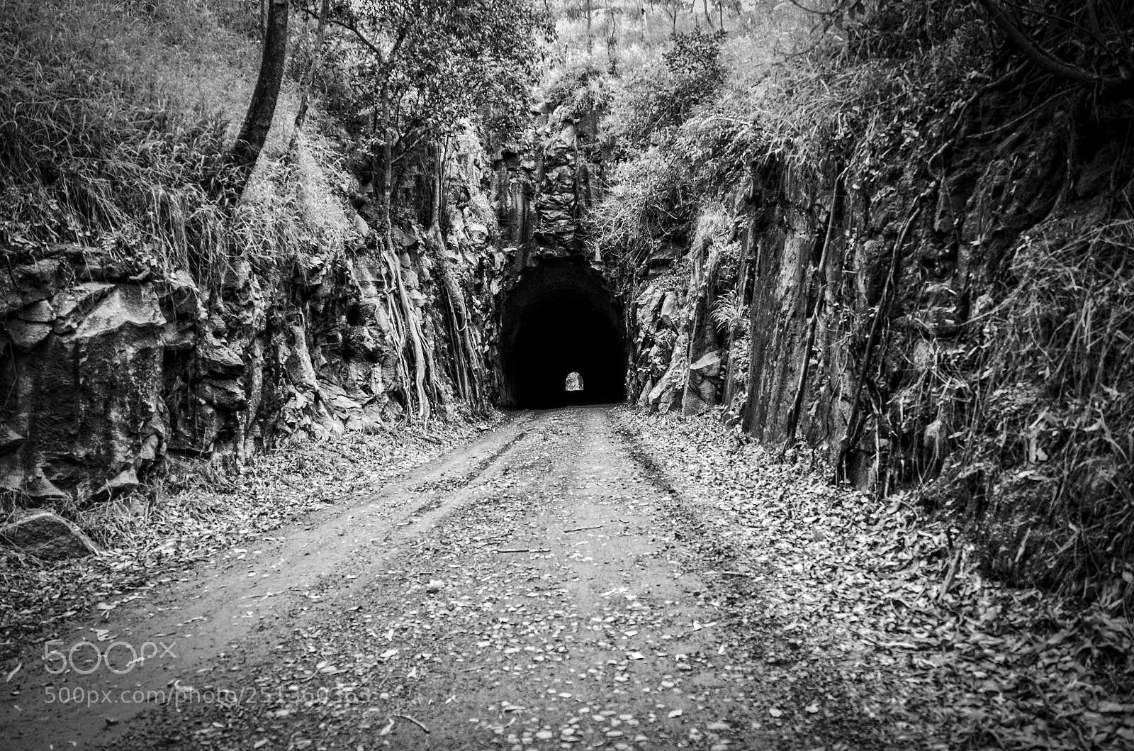 Nikon D7000 sample photo. Boolboonda tunnel photography