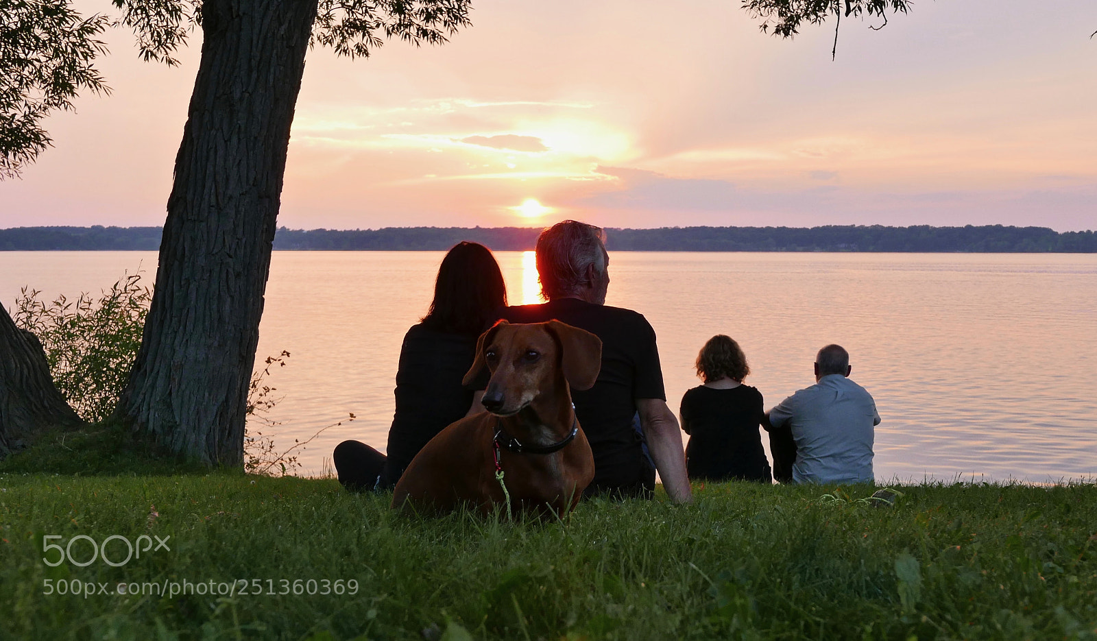 Leica D-Lux (Typ 109) sample photo. Sunset on lake ontario photography