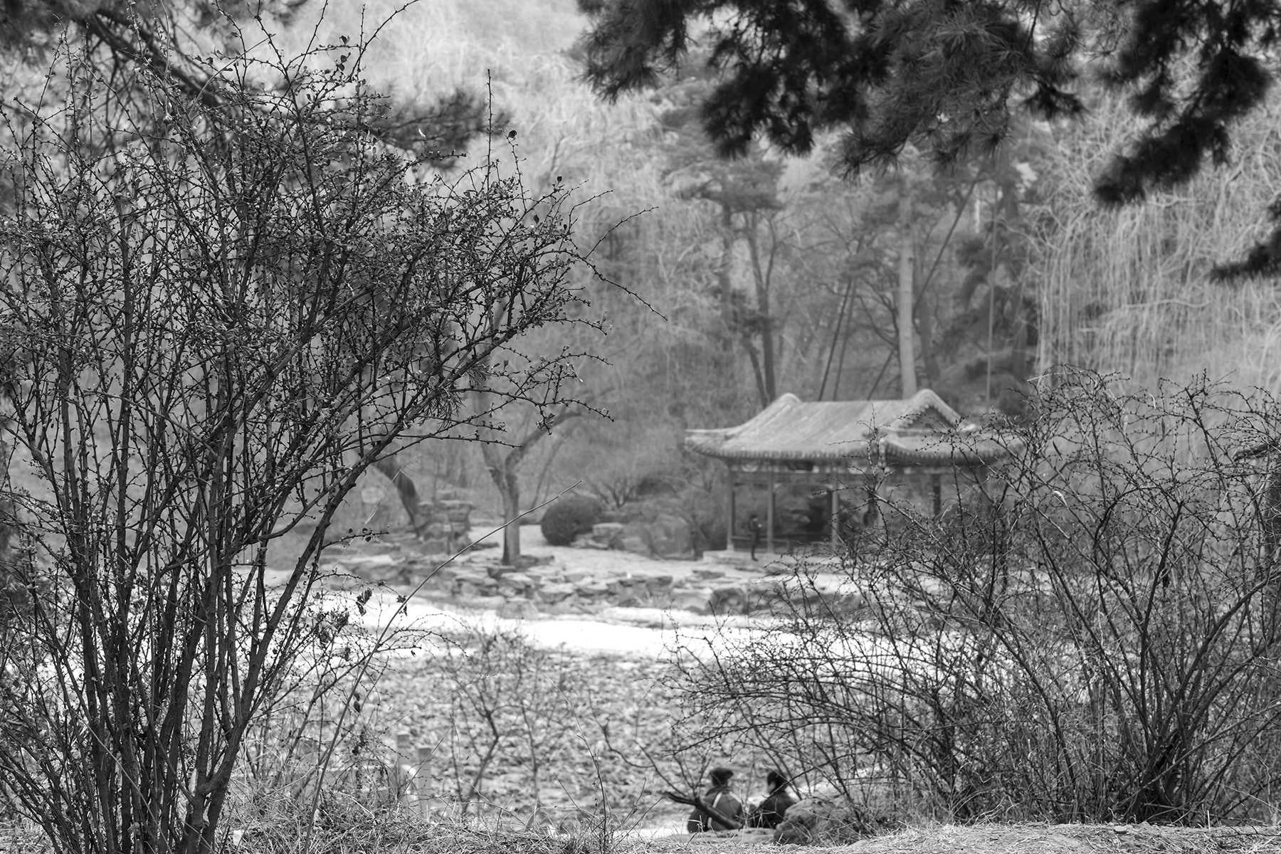 Leica M-Monochrom sample photo