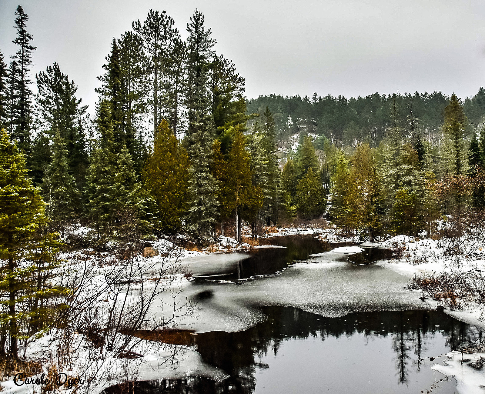 Nikon D5600 sample photo. The coming of spring photography