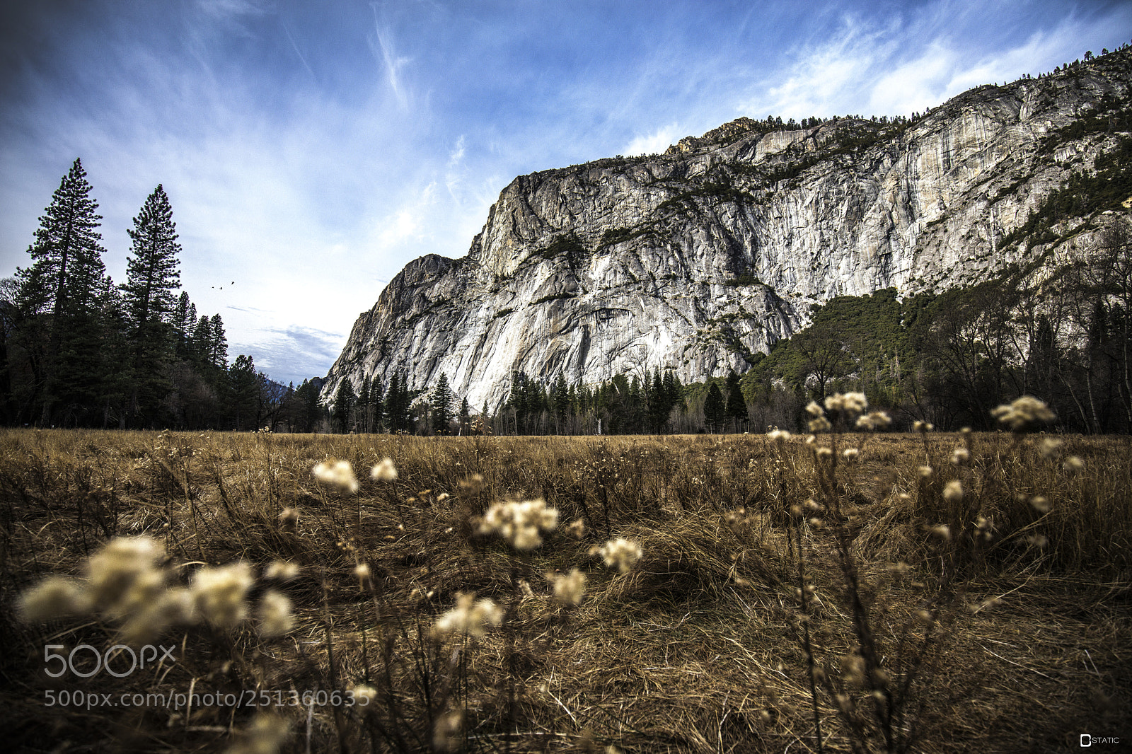 Canon EOS 5D Mark IV sample photo. Tree brothers photography