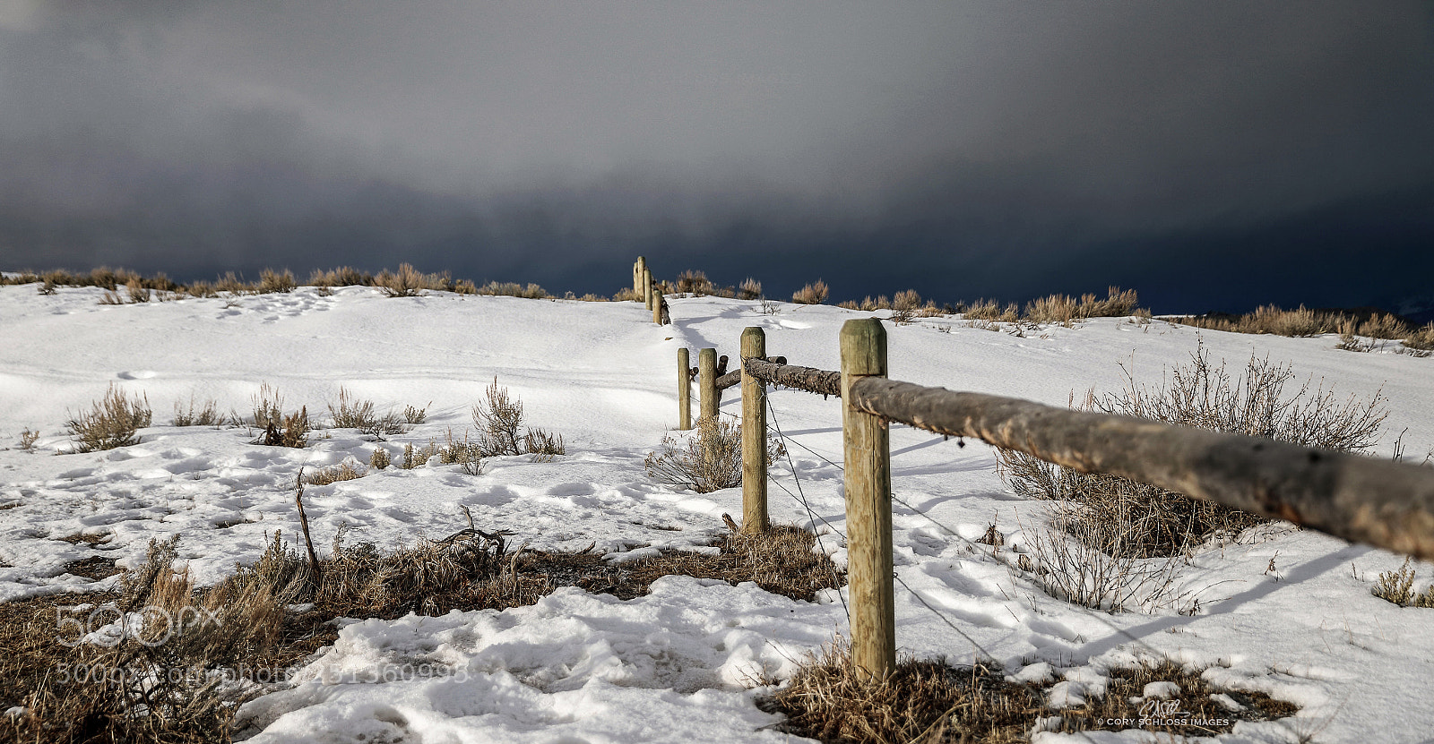 Canon EOS 5D Mark IV sample photo. Wild wyoming photography