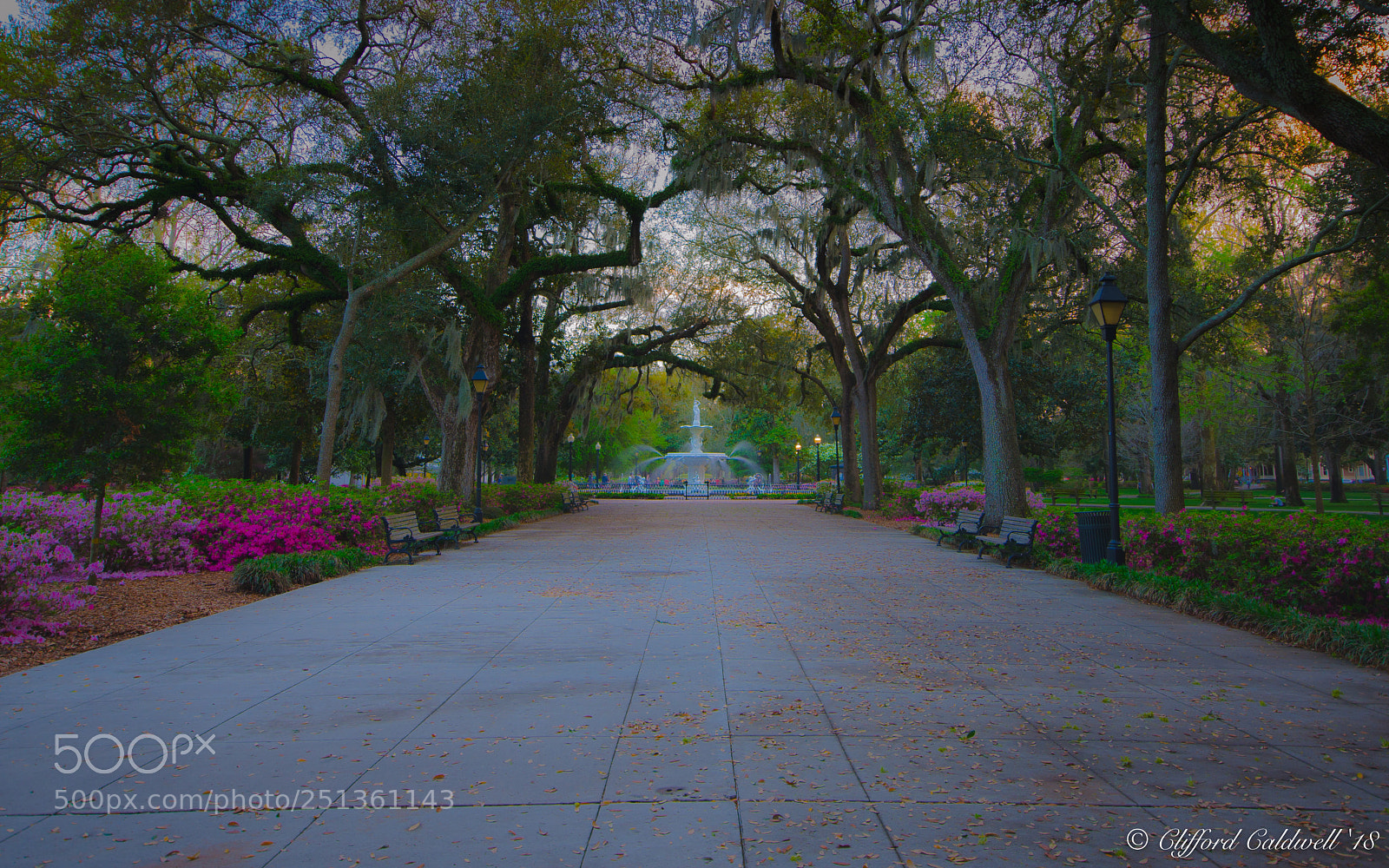 Nikon D7000 sample photo. Forsyth fountain at sunset photography