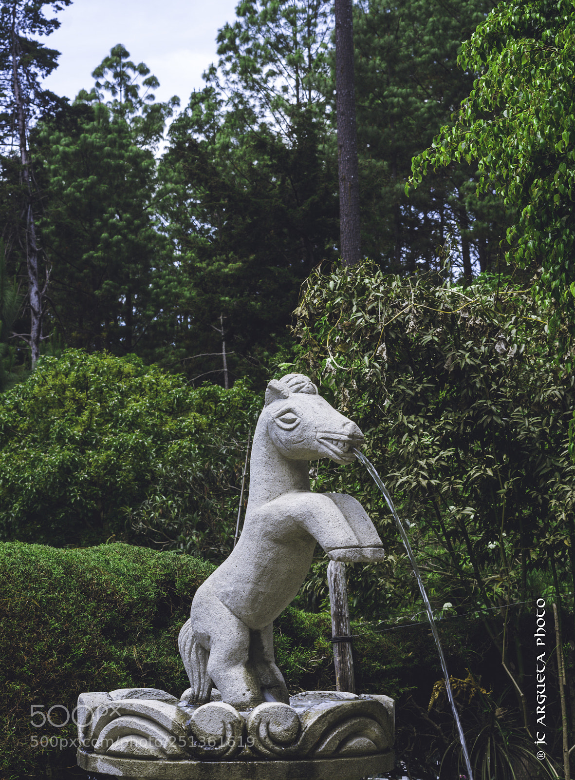 Pentax K-1 sample photo. Horse fountain photography