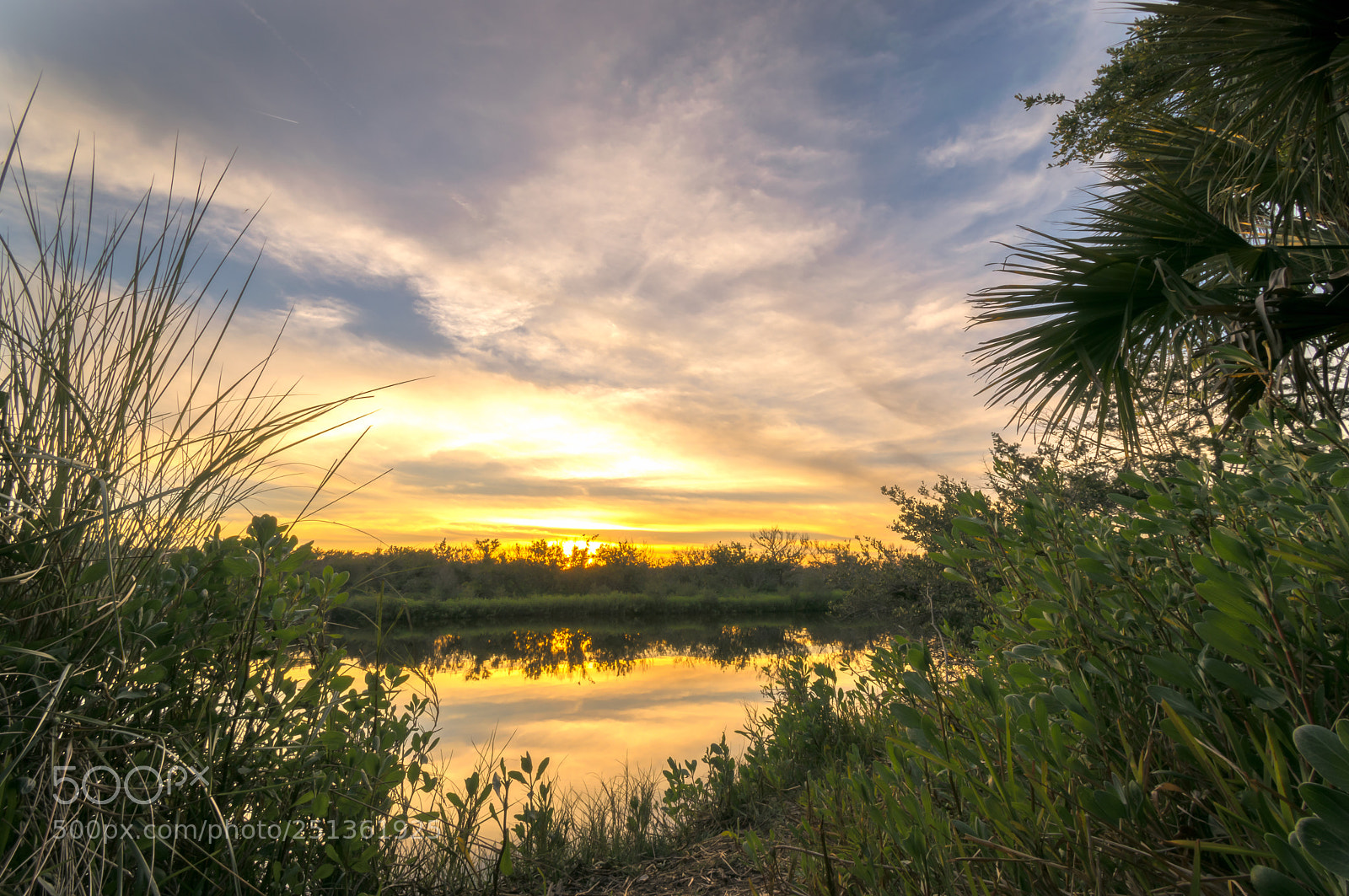 Nikon D3300 sample photo. High bridge sunset photography