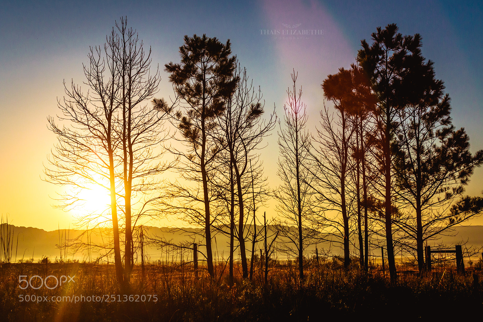 Canon EOS 5D Mark II sample photo. Untitled photography
