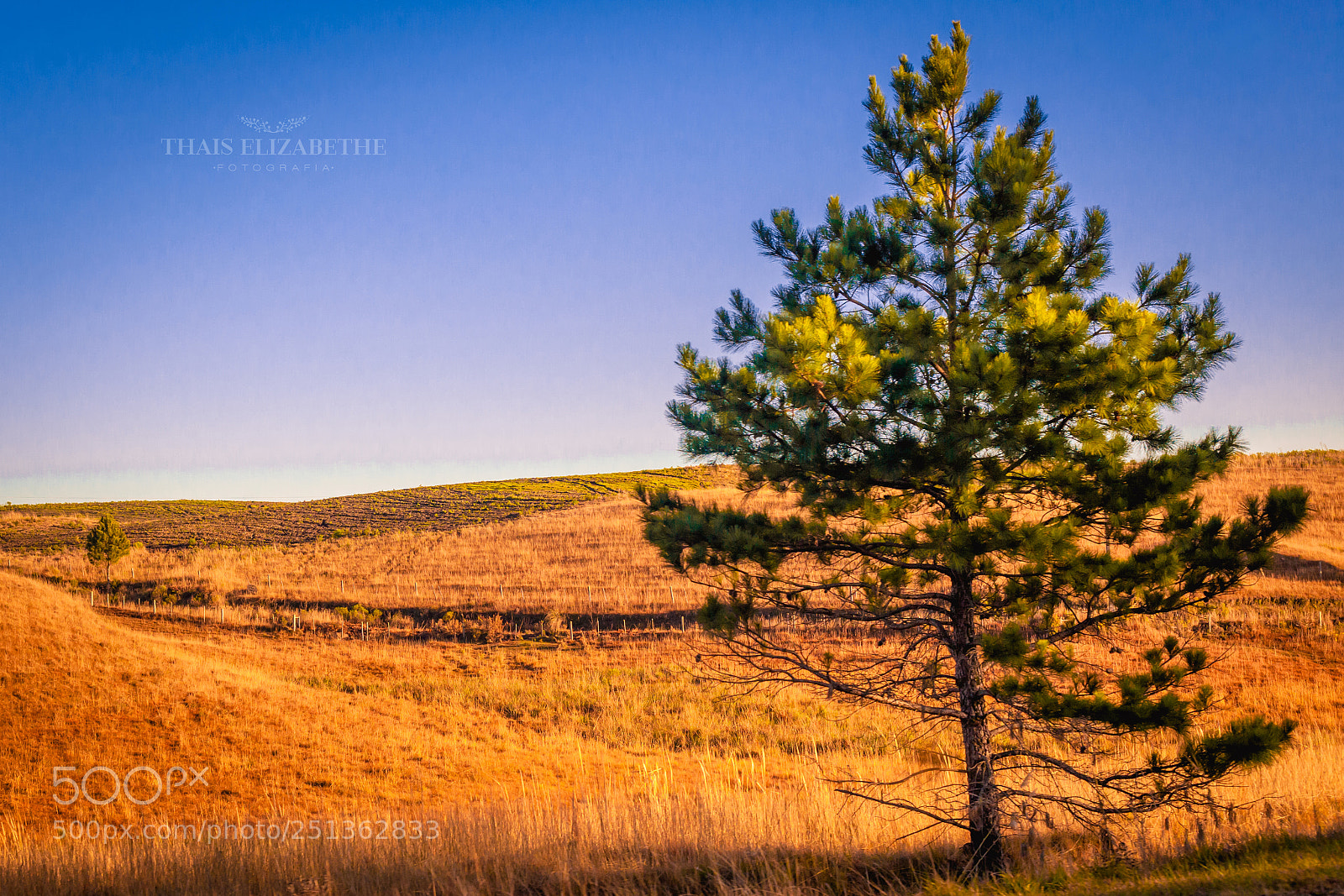 Canon EOS 5D Mark II sample photo. Untitled photography
