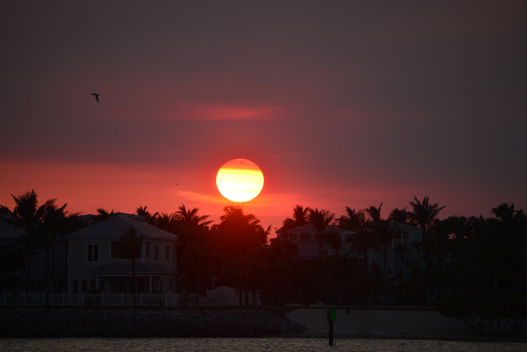 Nikon D800 sample photo. Key west sunset photography